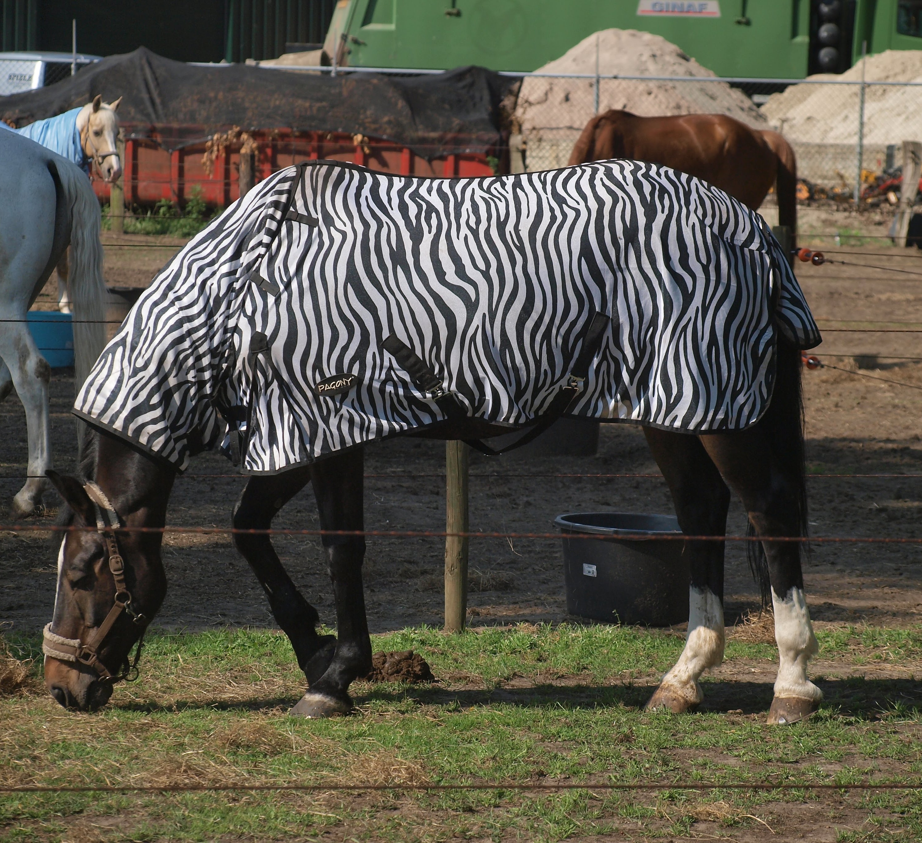 niets-is-wat-het-lijkt