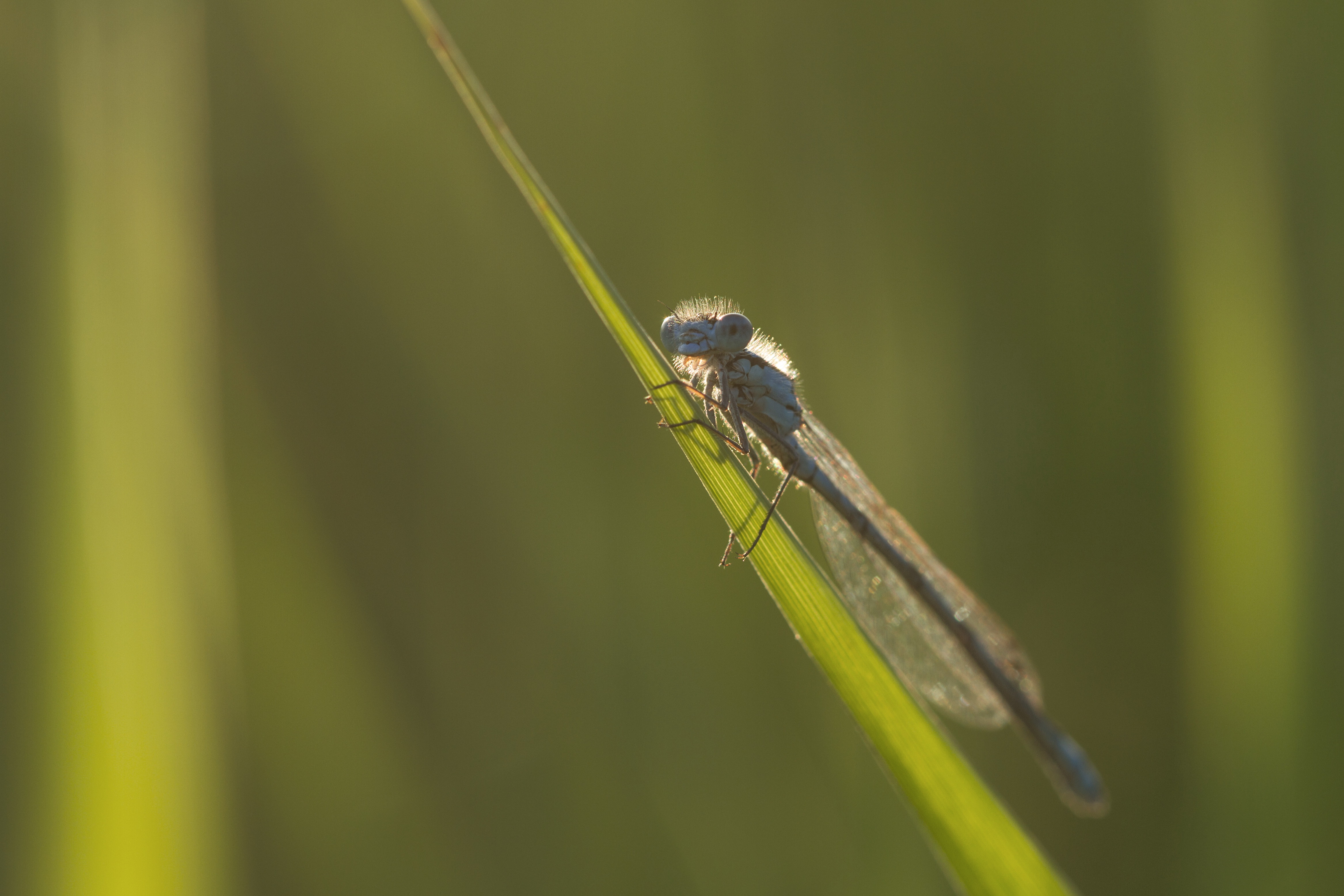 langs-lijnen-der-gelijdelijkheid