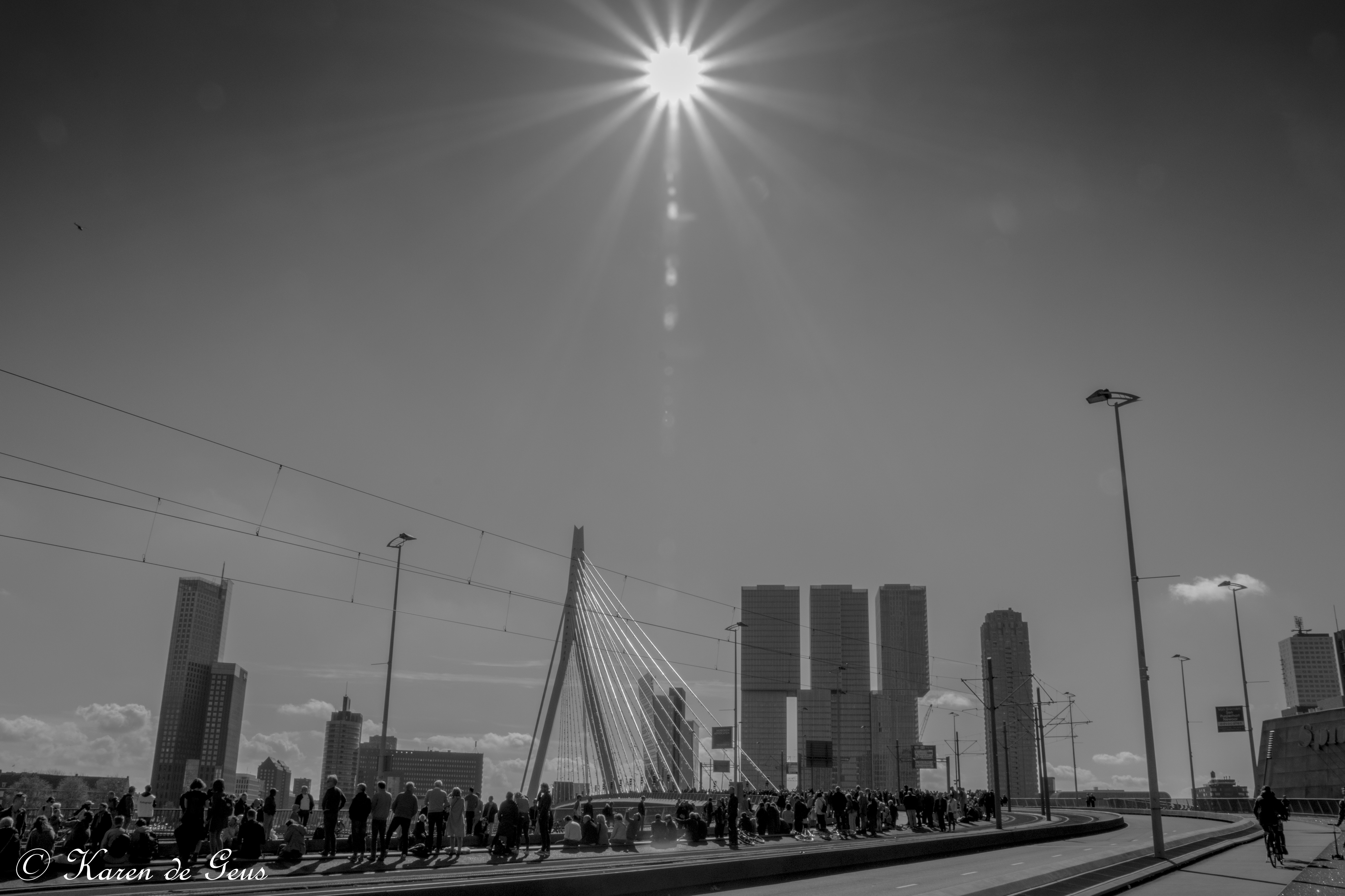 marathon-rotterdam-2016-1