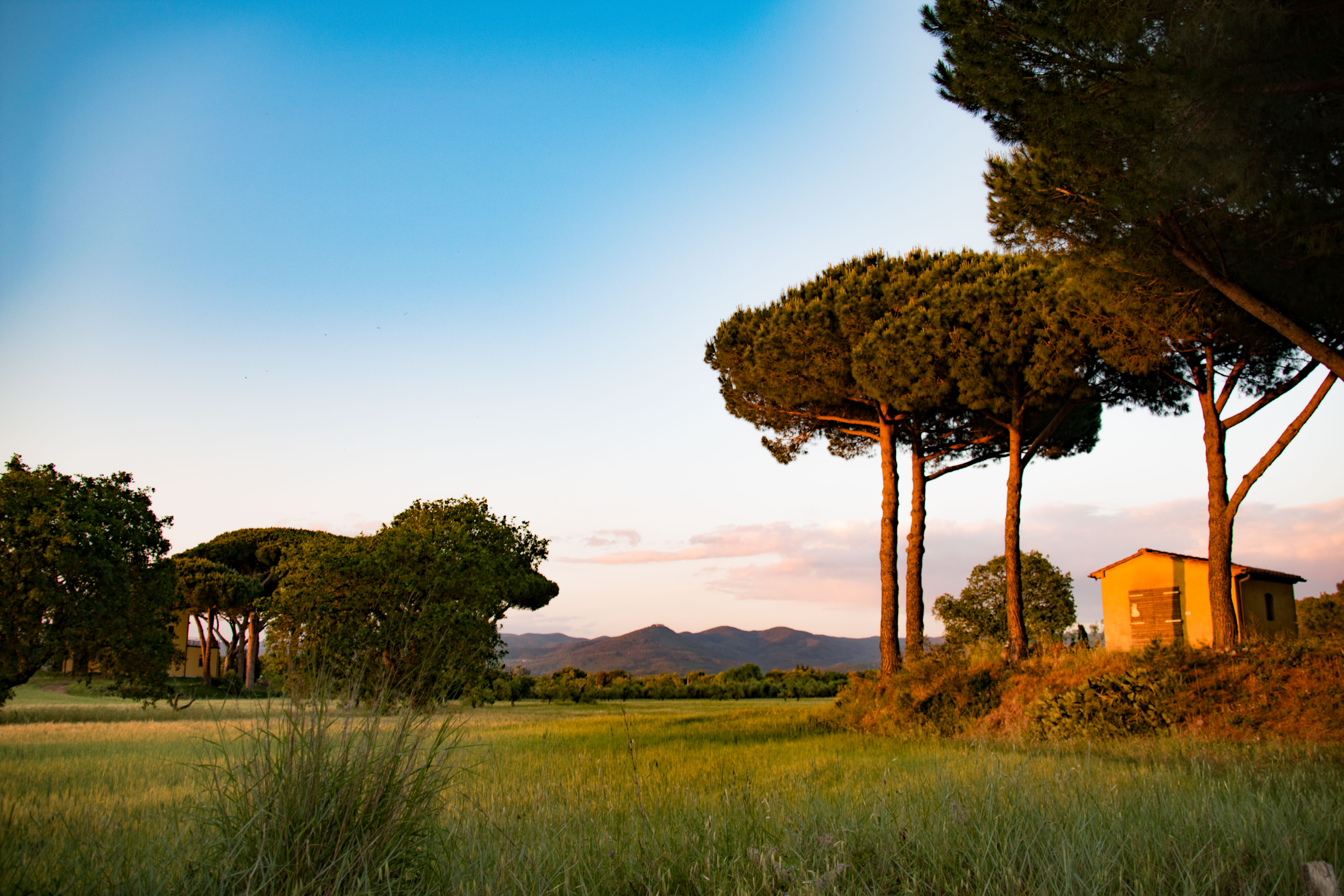 toscaans-landschap