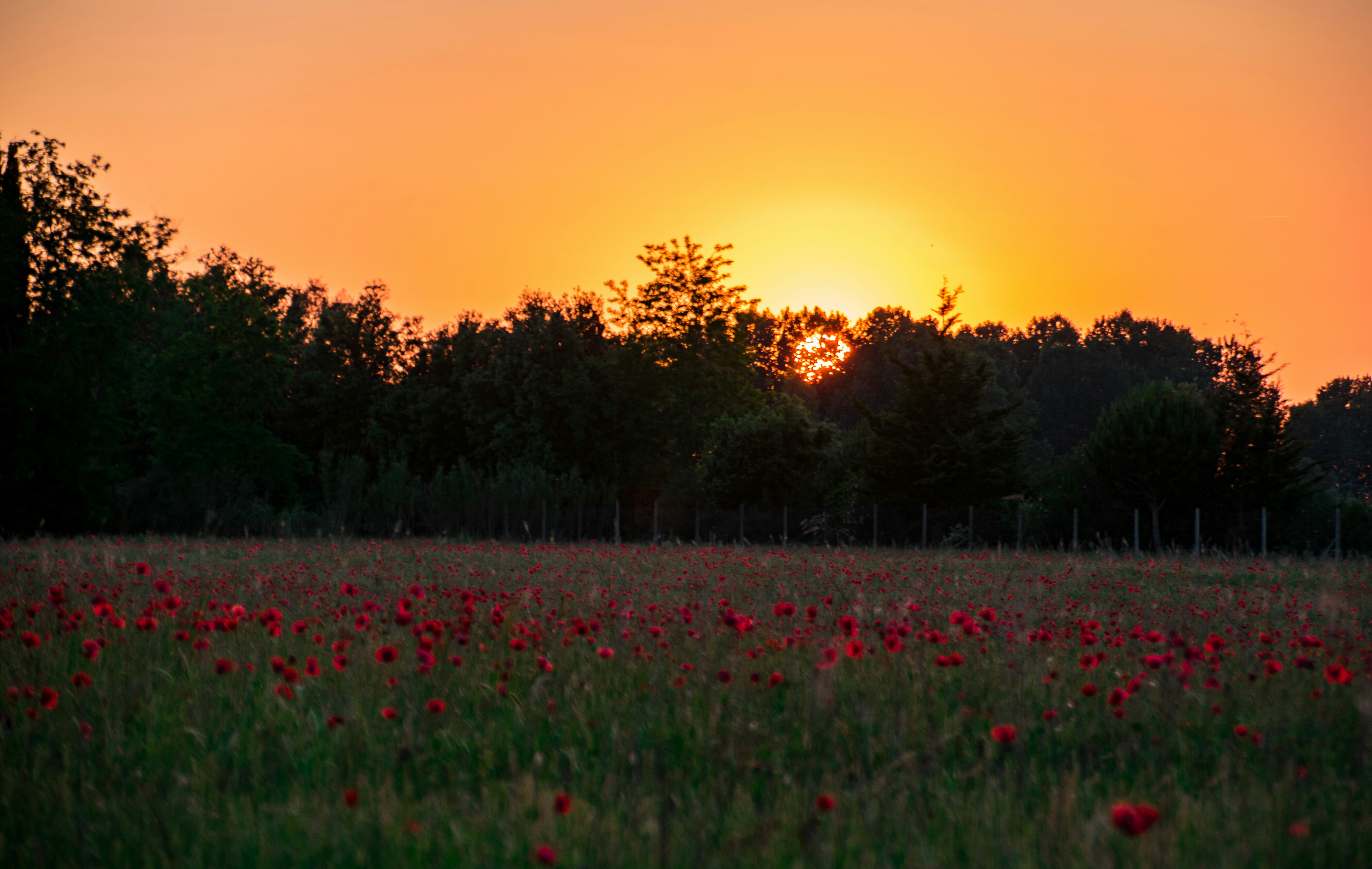 zonsondergang-toscaans-landschap-0
