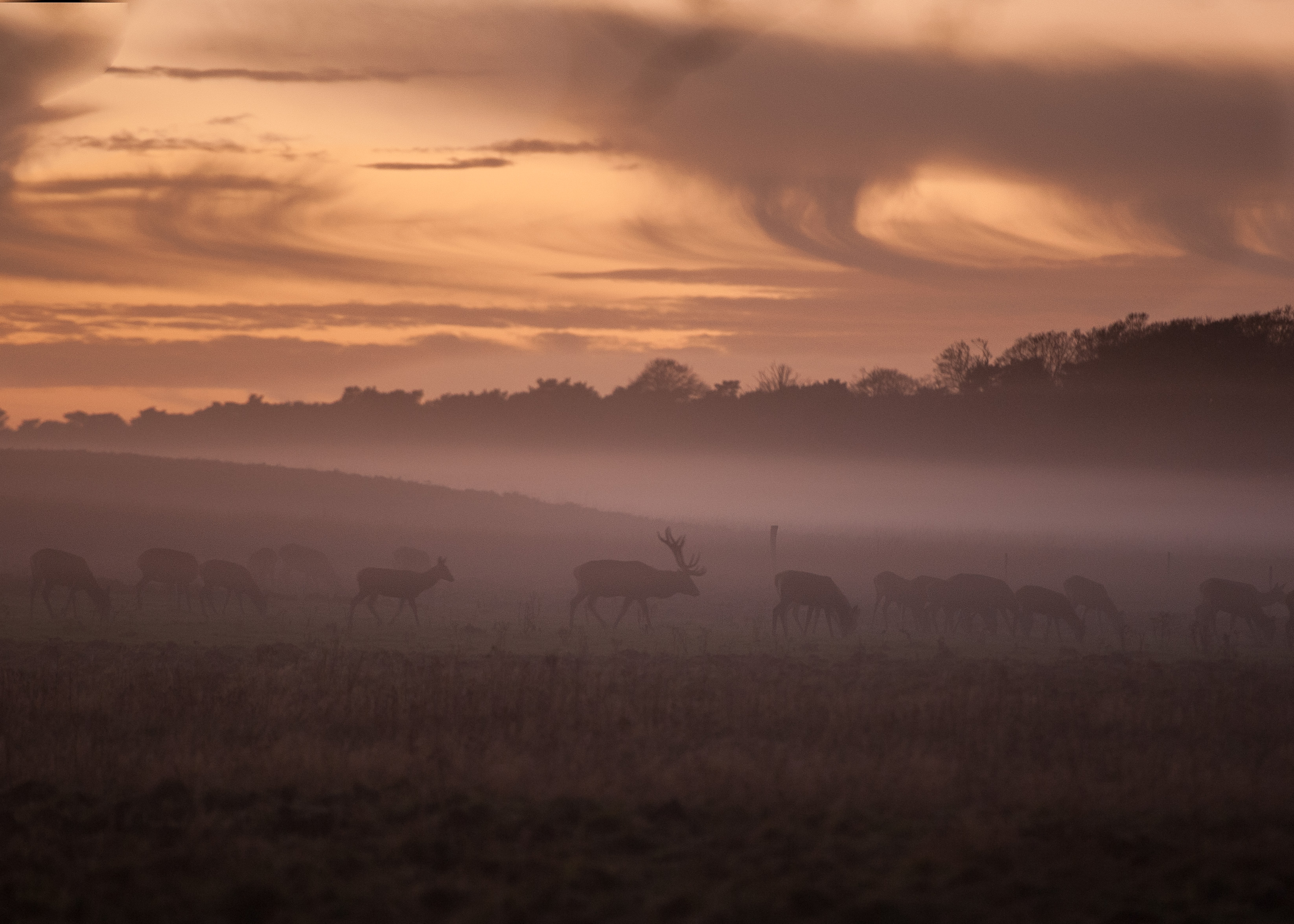 zonsondergang-hoge-veluwe
