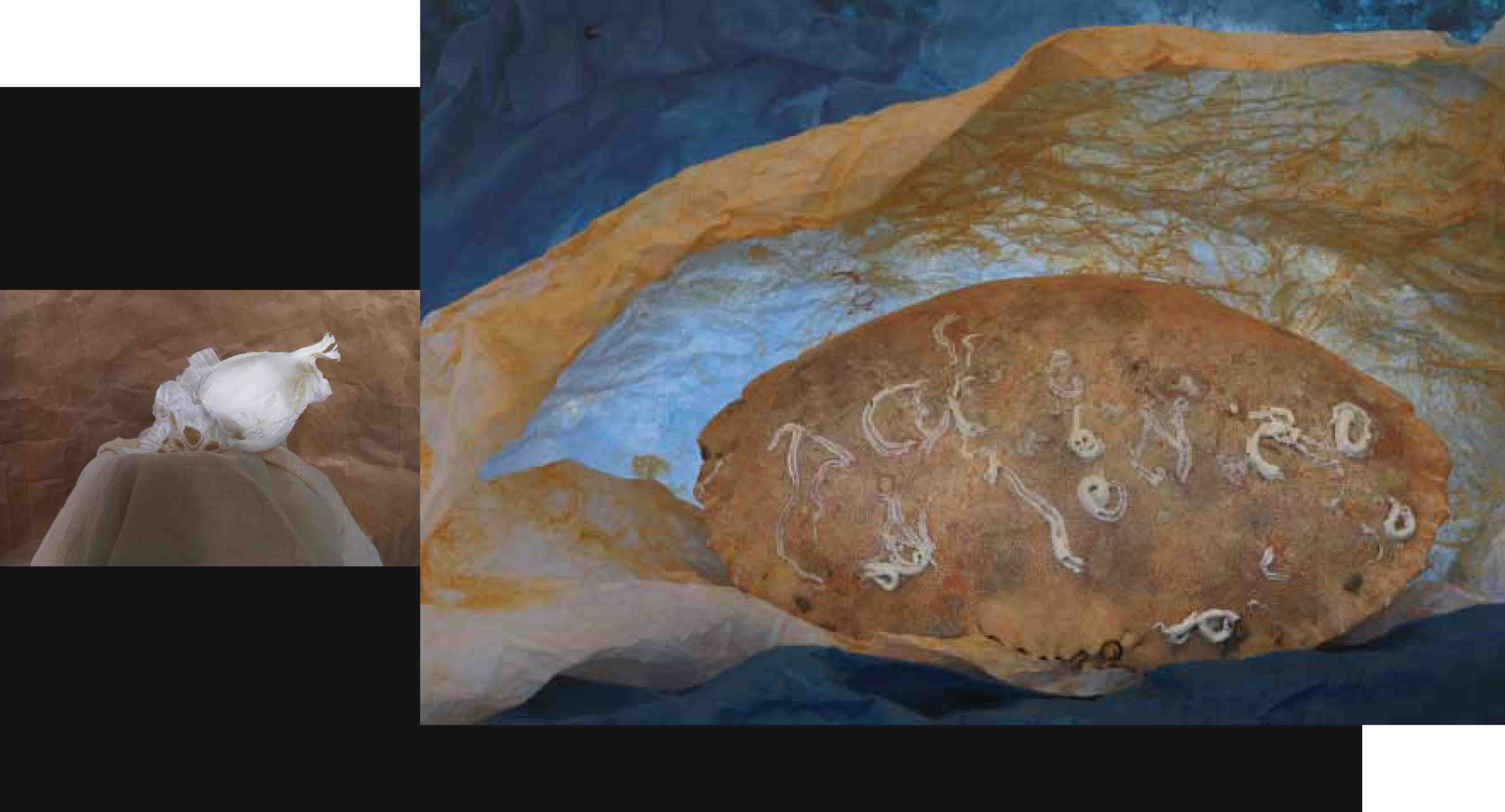 rieja-van-aart-45-jaar-fotografie