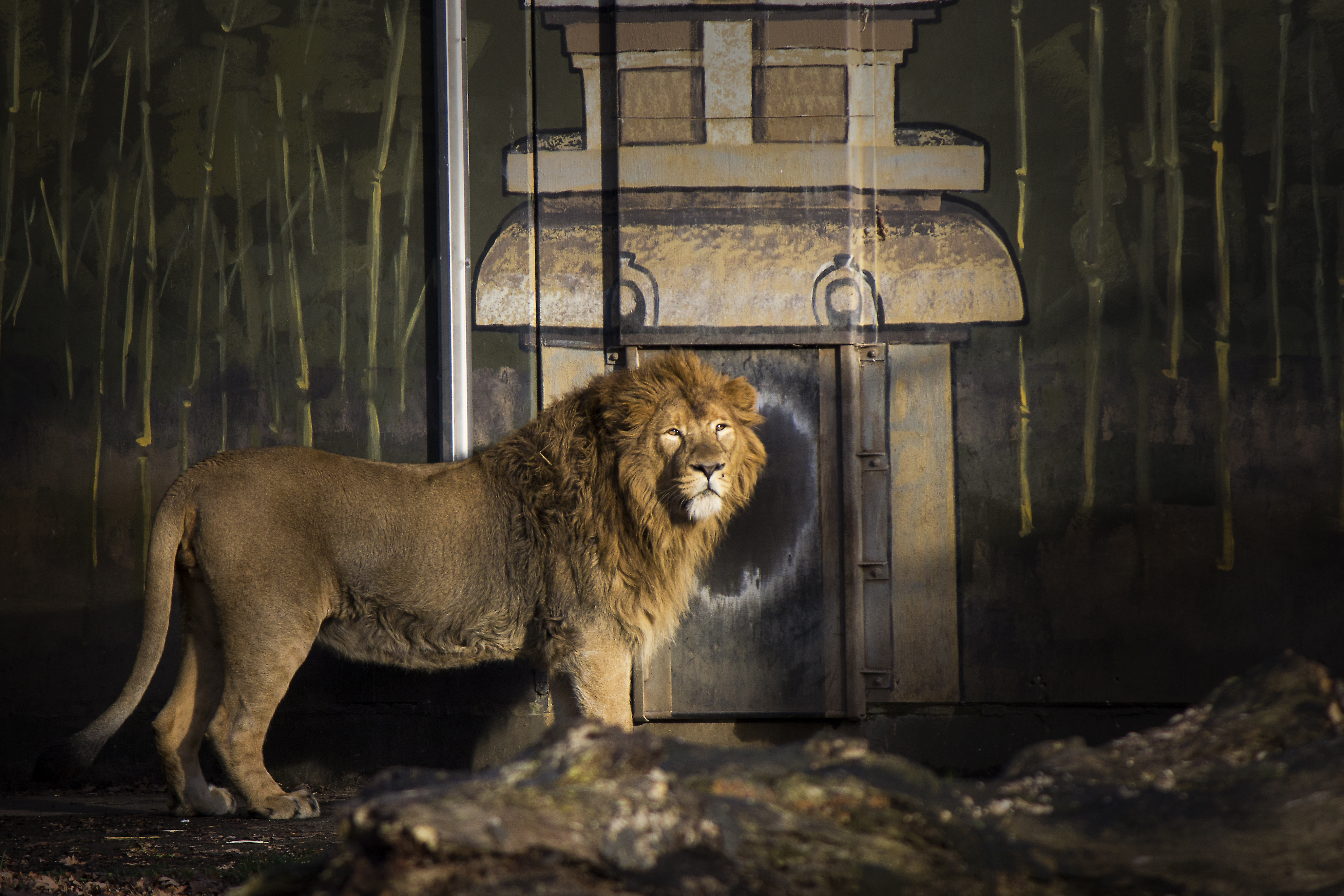 a-real-king-in-a-fake-world