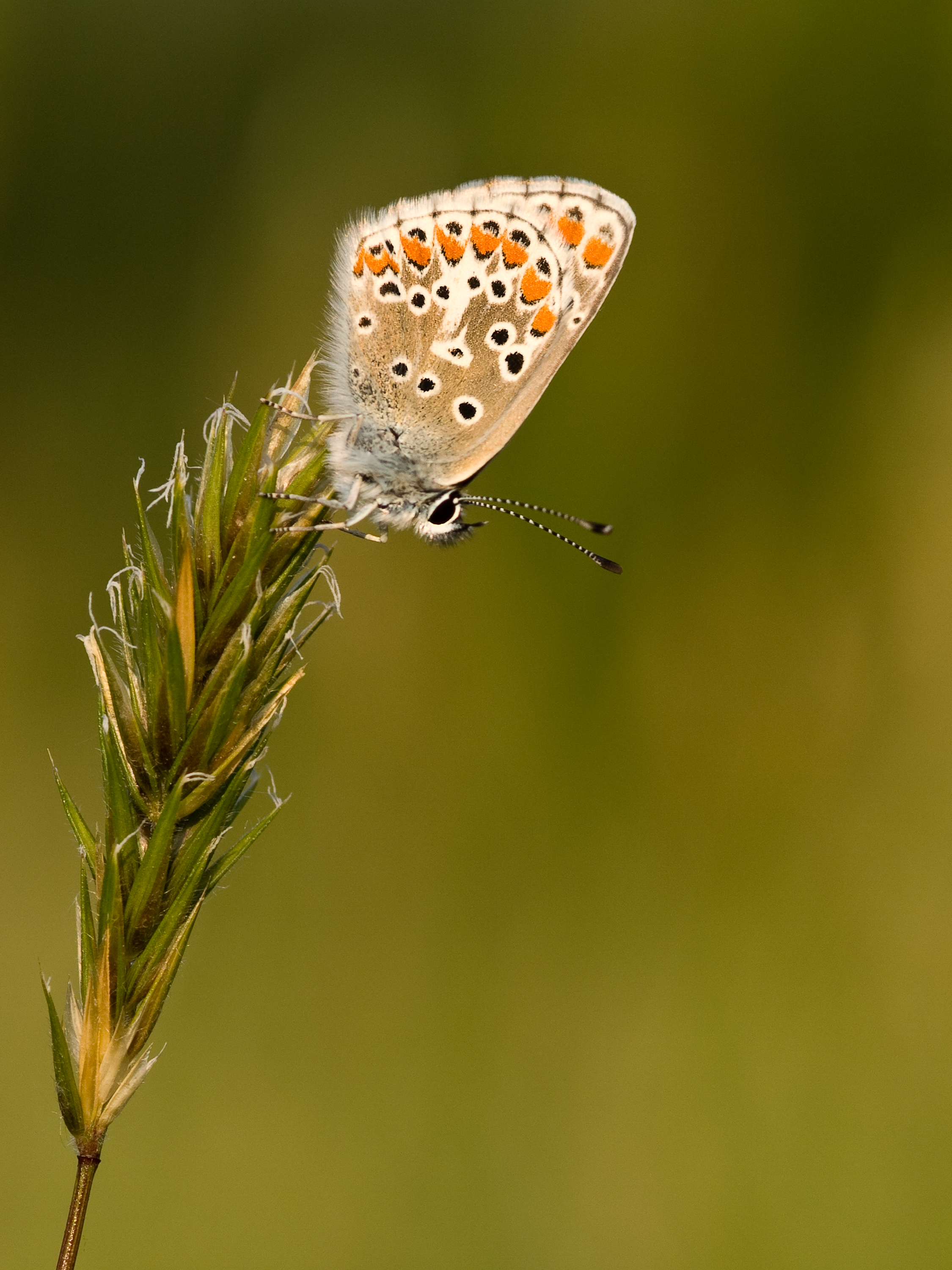 waai-met-de-wind-mee