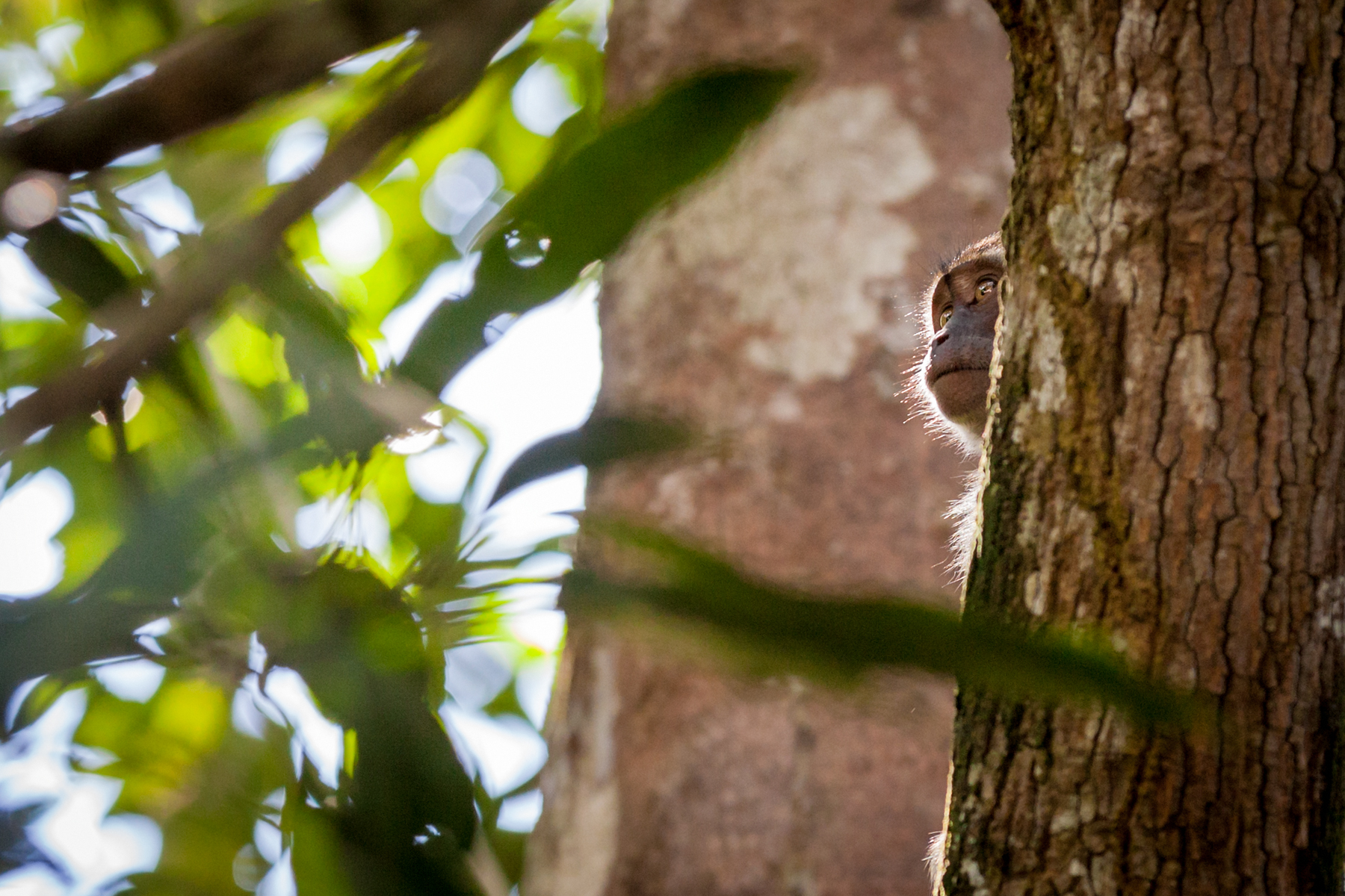 verstoppertje-spelen