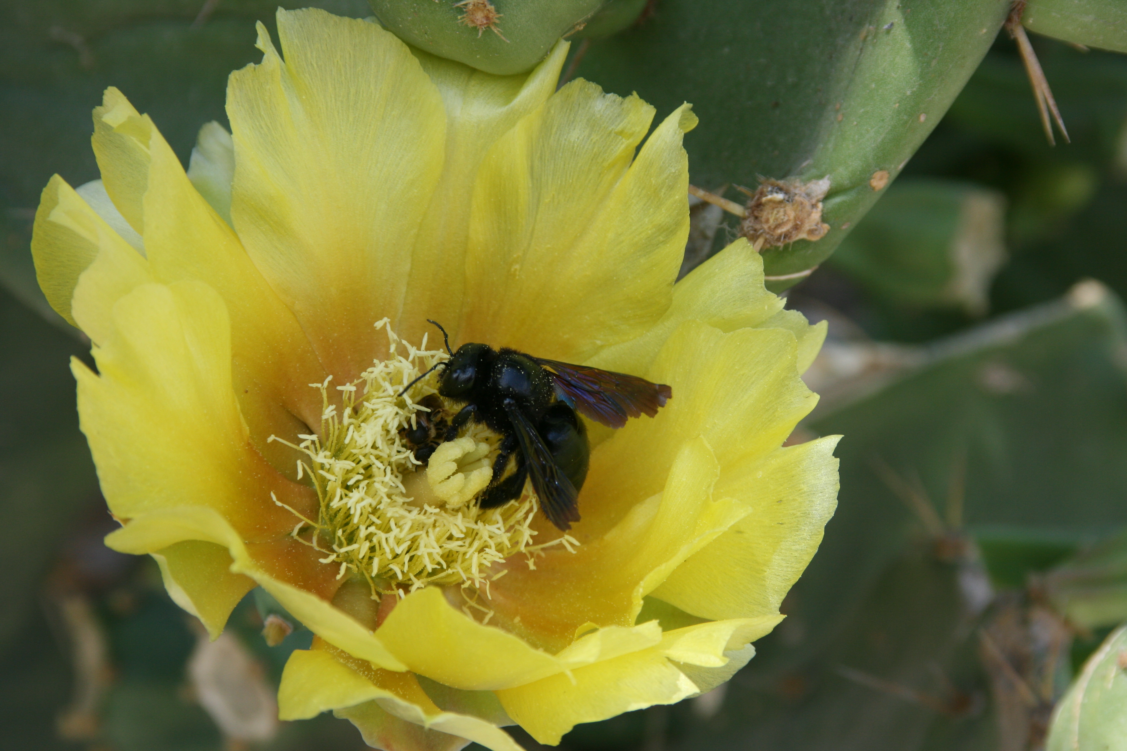 macro-moeder-en-kroost