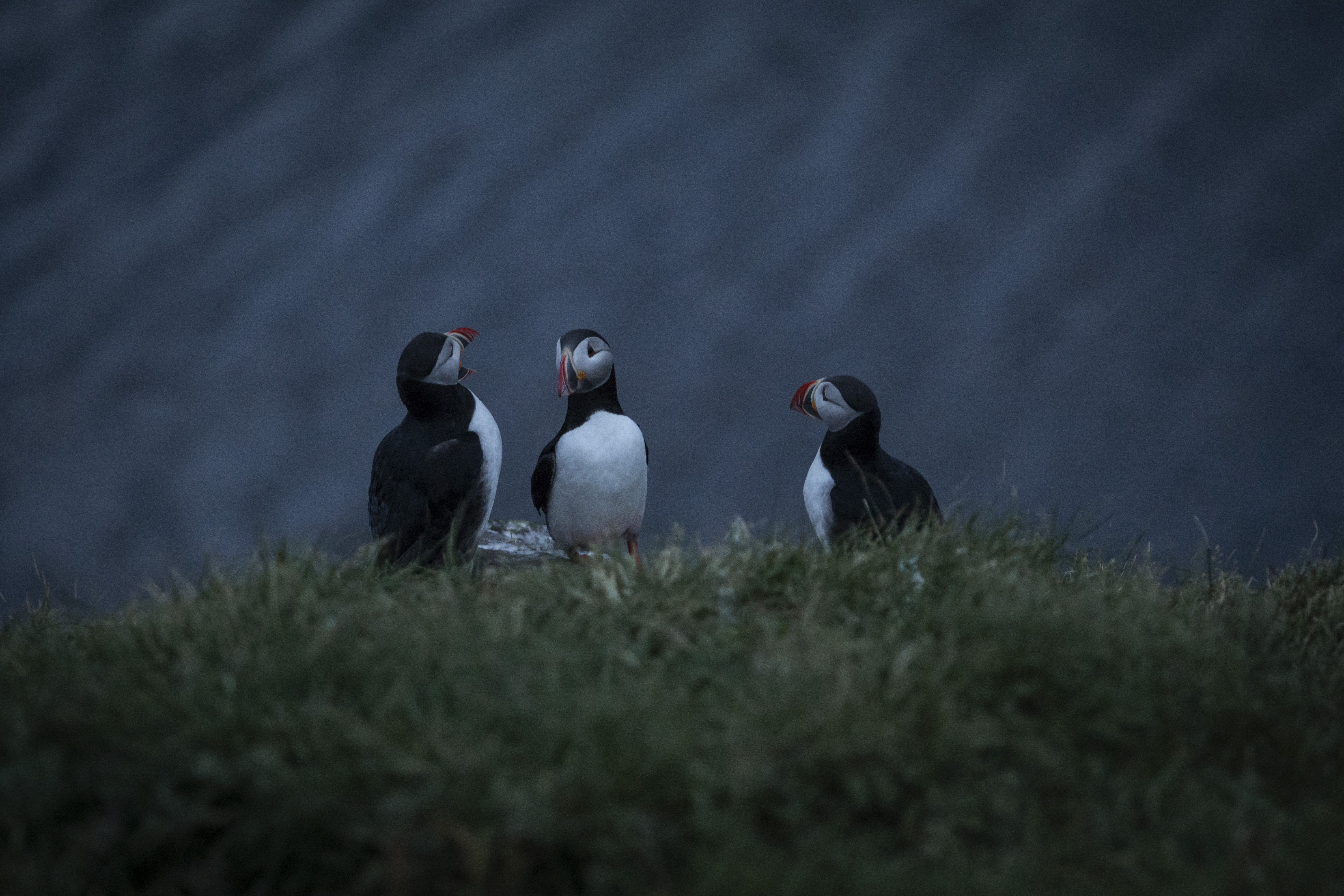 midnight-conversation