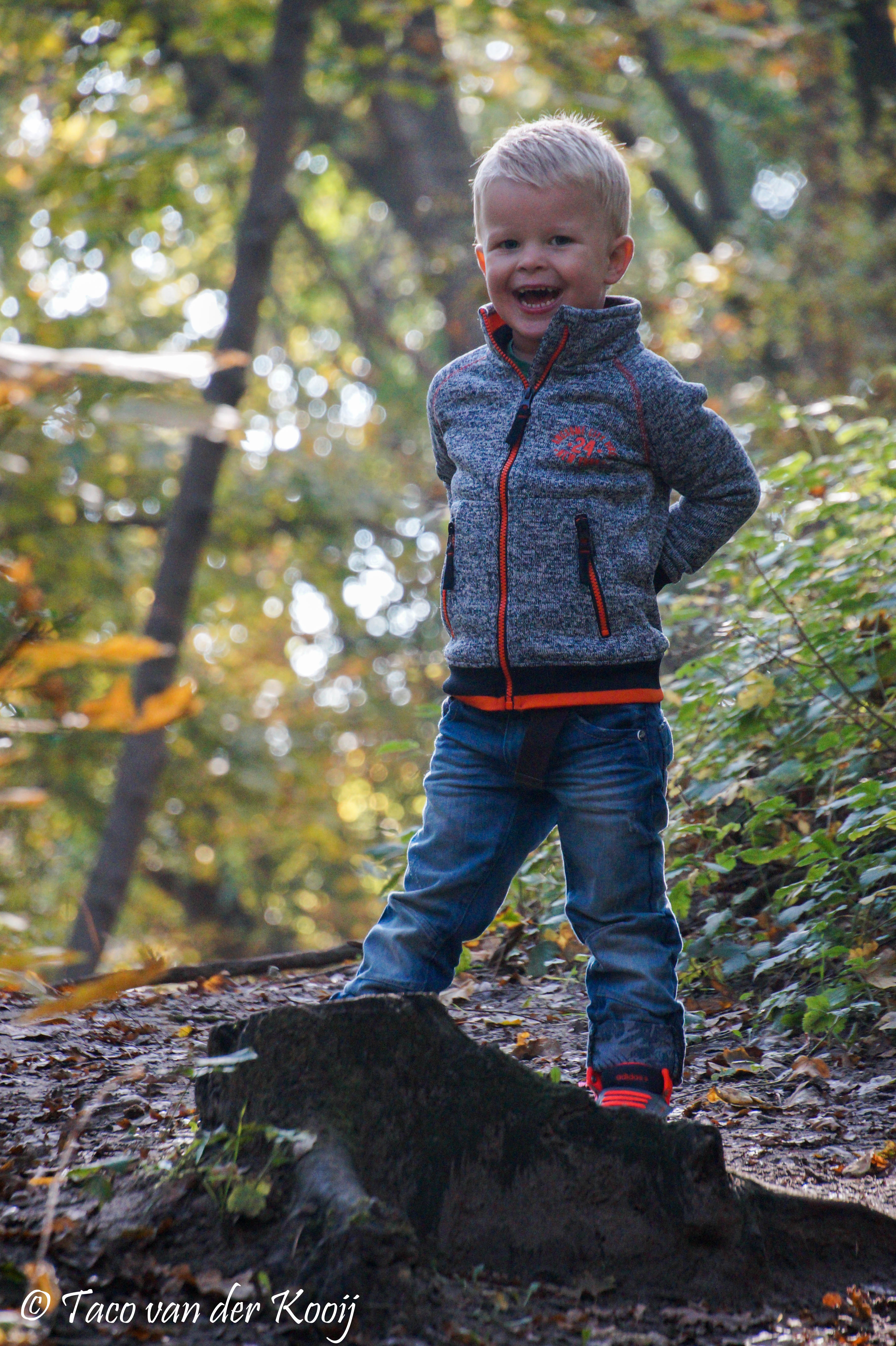 little-men-in-the-forest