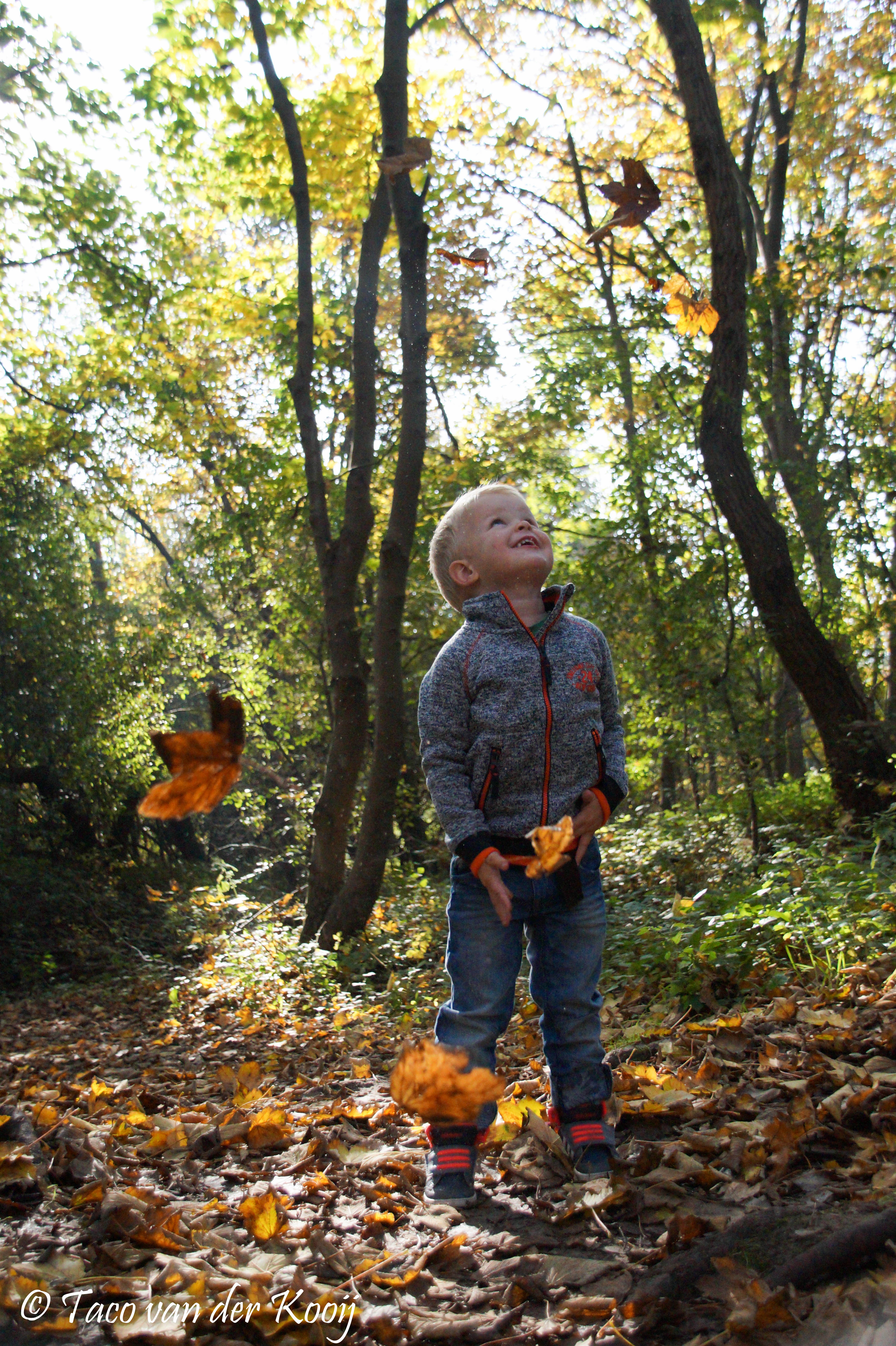 happiness-in-his-eyes