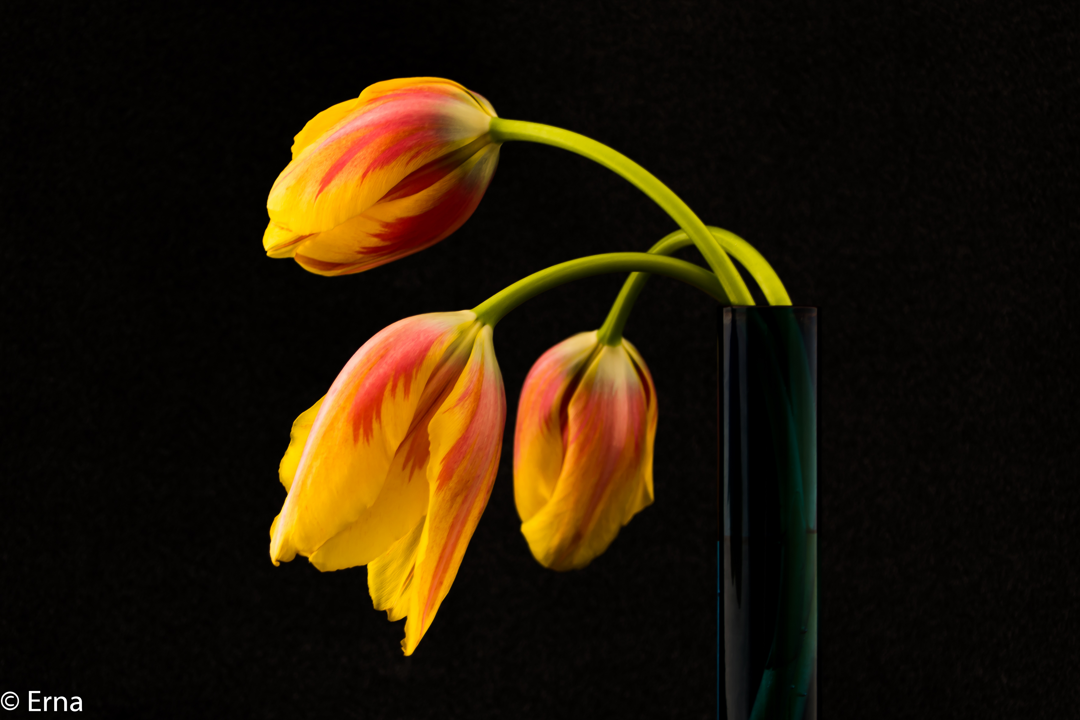 inspired-by-mapplethorpe