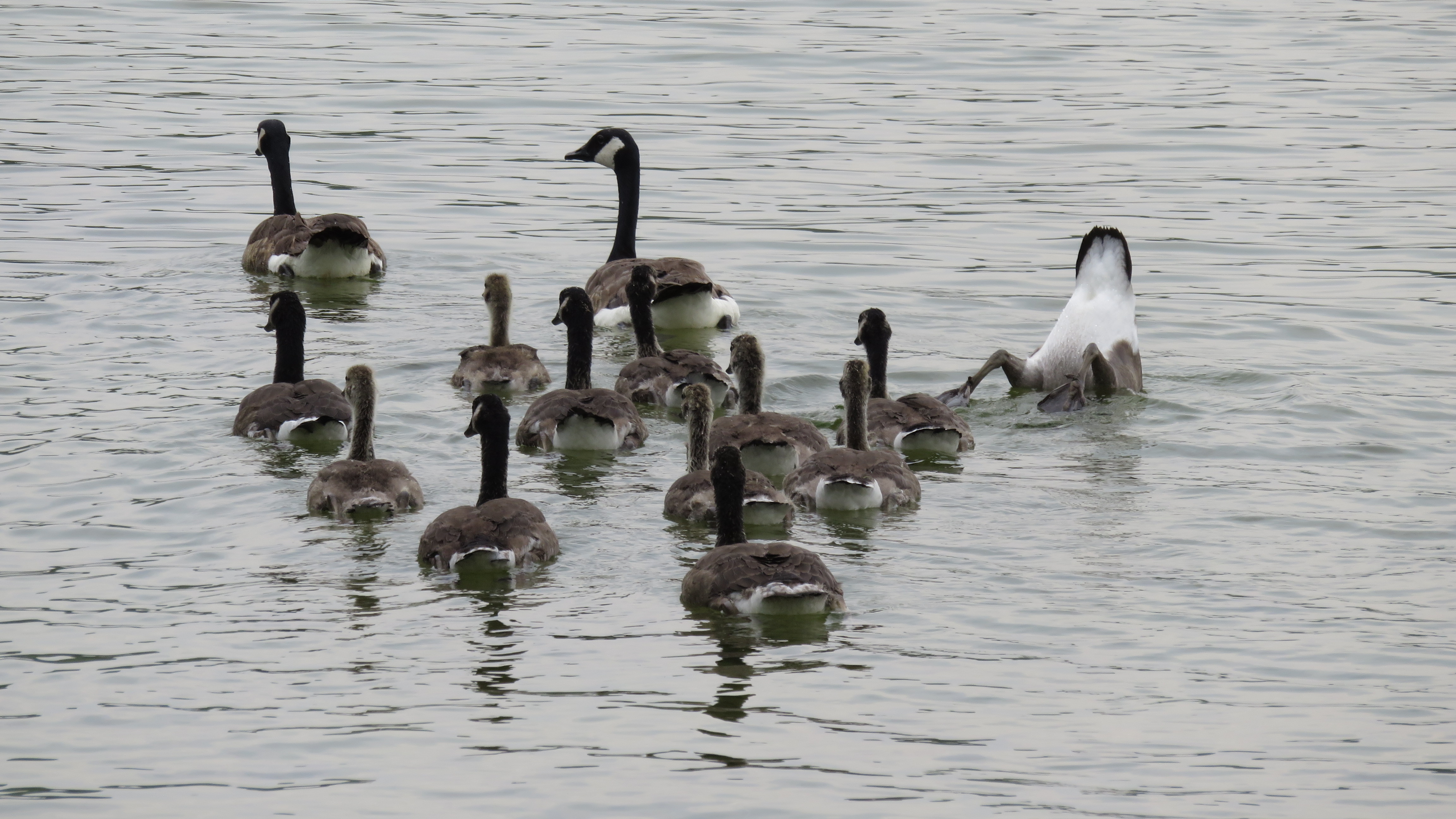 even-het-noorden-kwijt