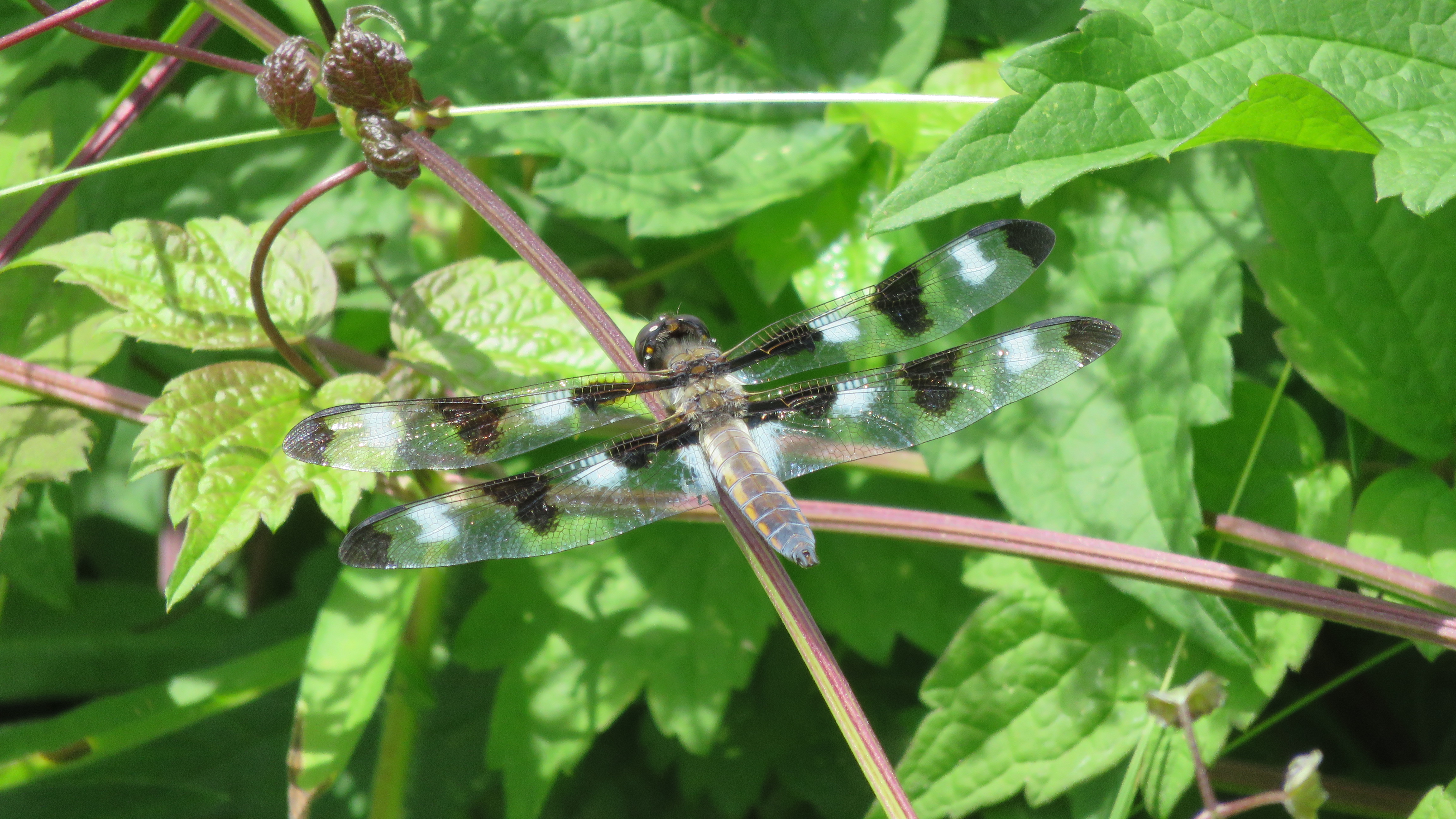 van-het-zonnetje-genieten