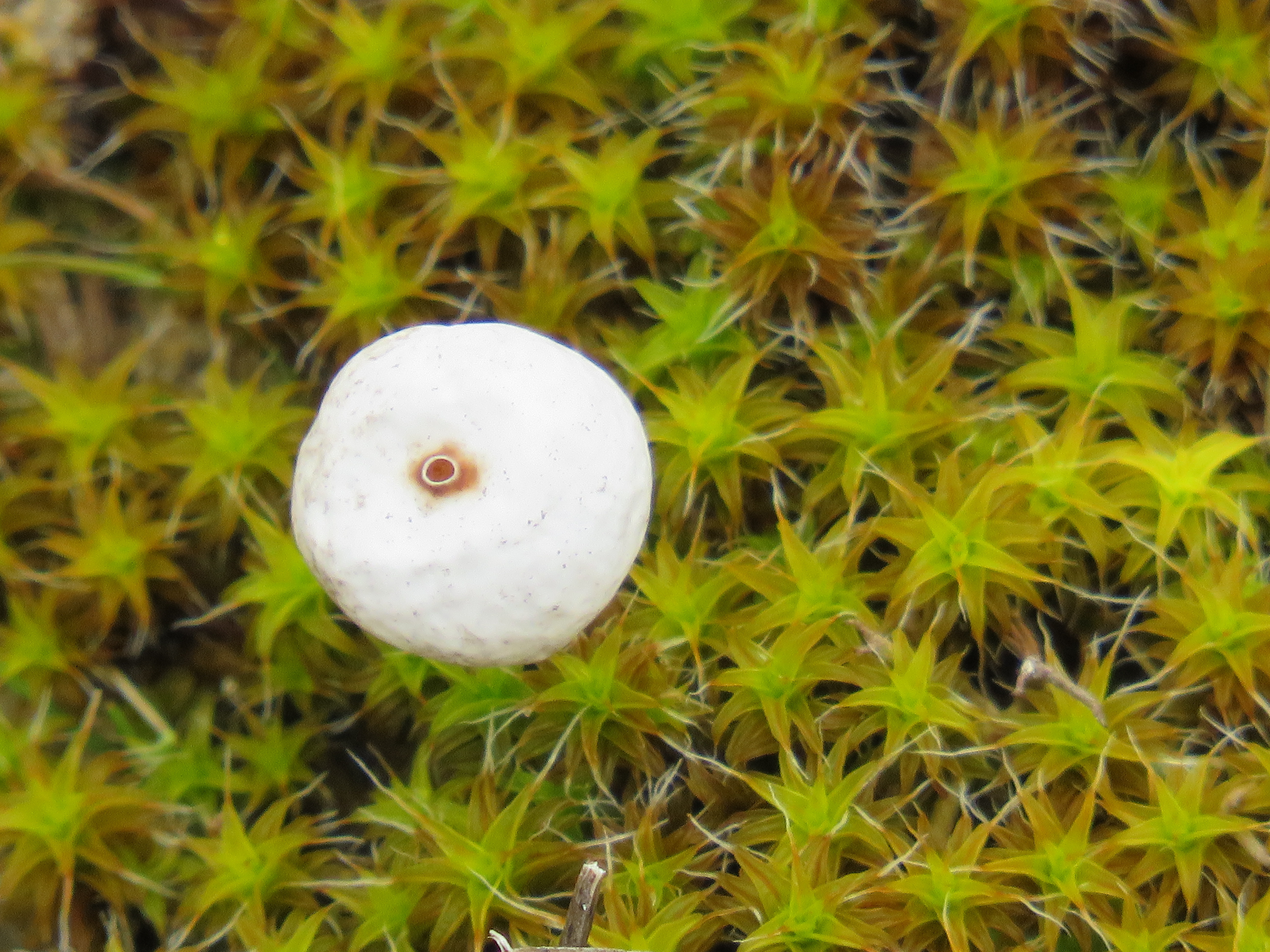 de-kunst-van-close-ups-71