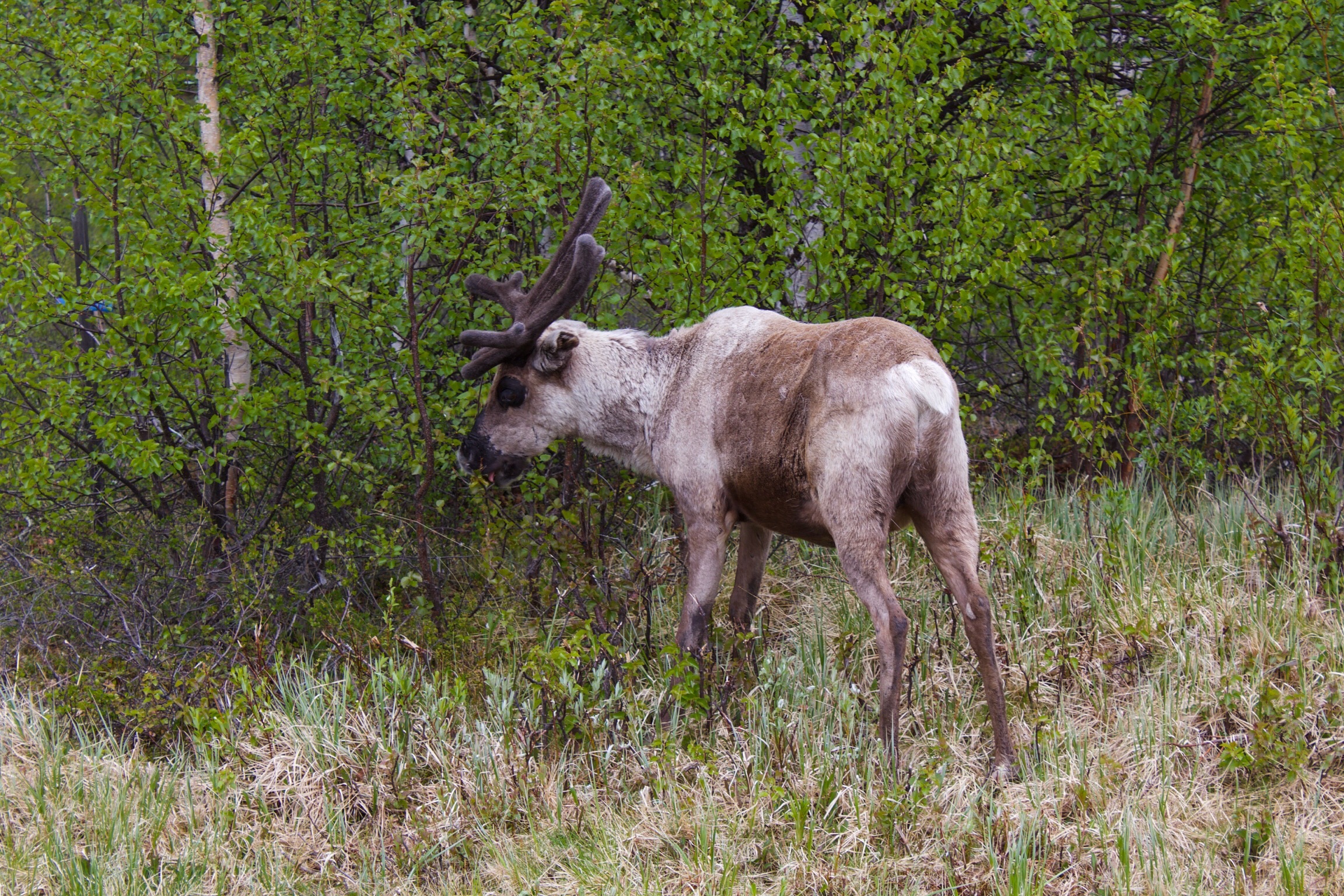 hey-you-why-are-you-looking-at-my-butt