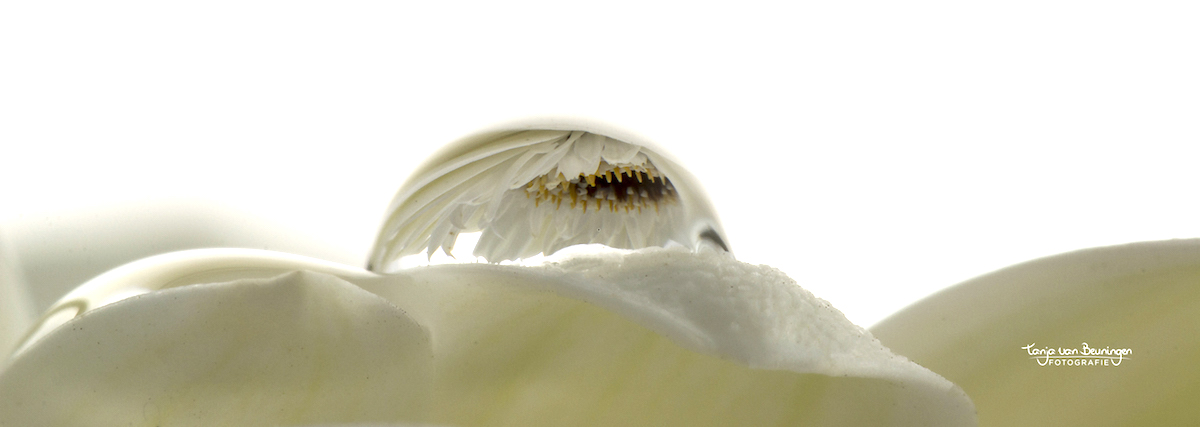 reflectie-in-een-druppel-van-4-mm