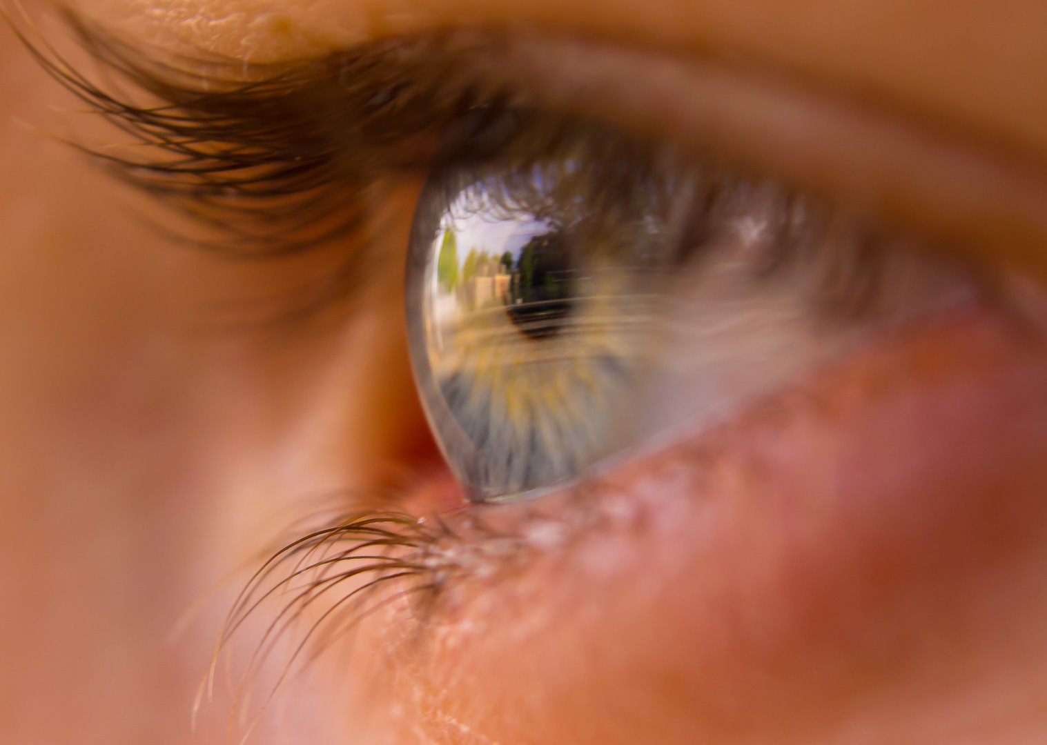 in-al-zijn-schoonheid