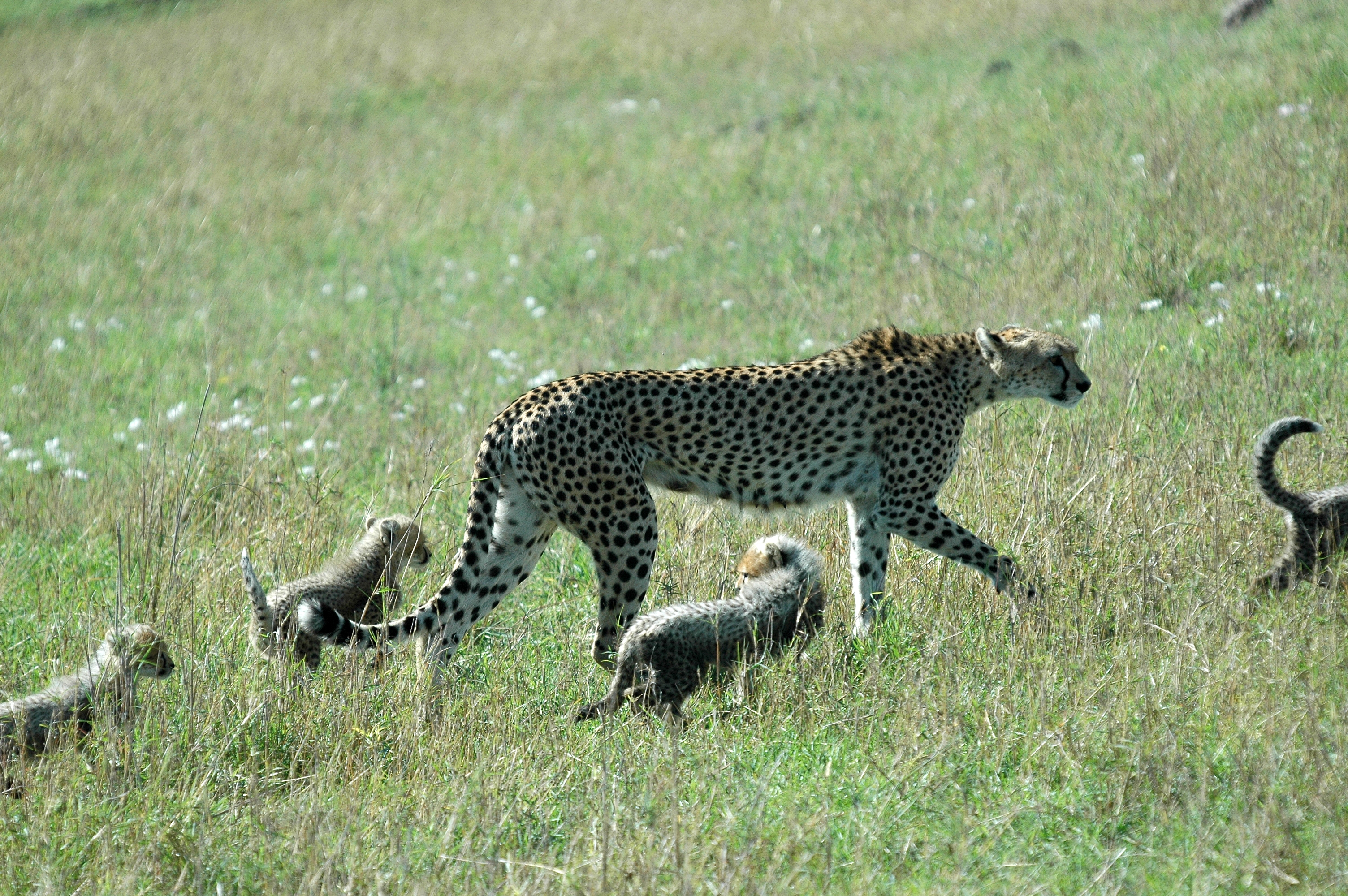 met-moeder-aan-de-wandel