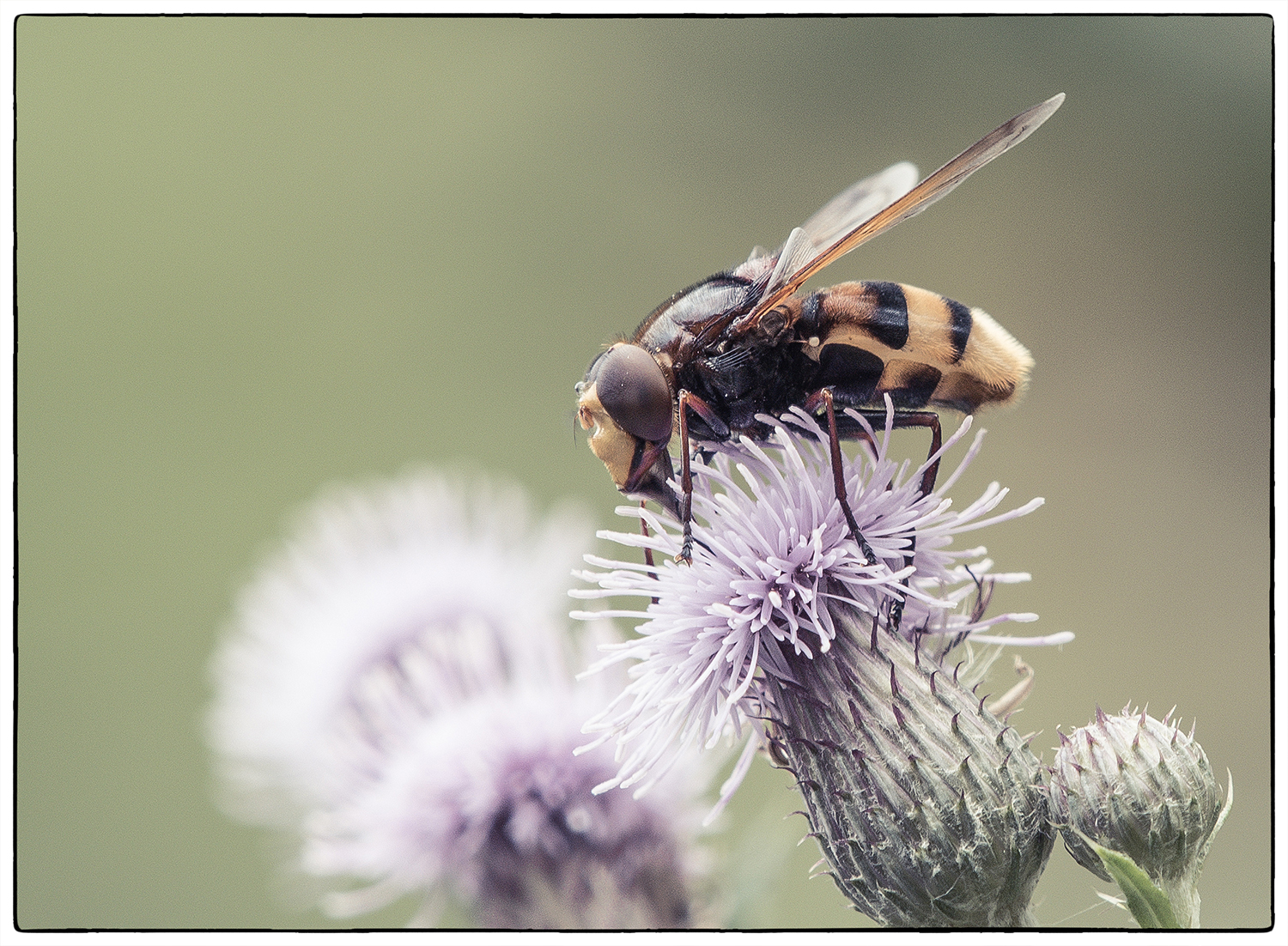 altijd-aan-het-werk-voor-ons