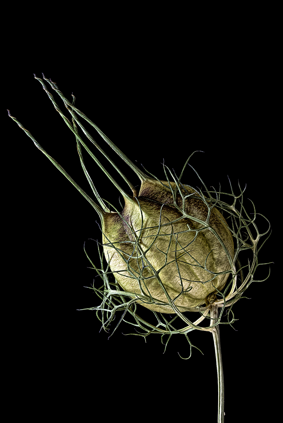 juffertje-in-het-groen-upcycled-beauty