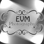 beauty-and-the-woods