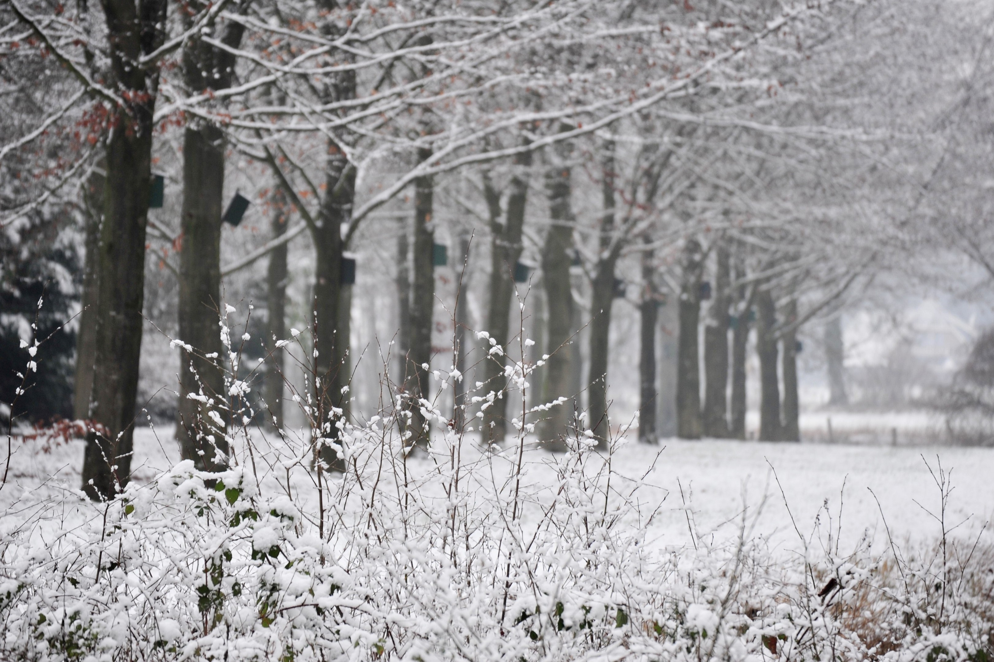 toch-geen-zwart-wit-foto