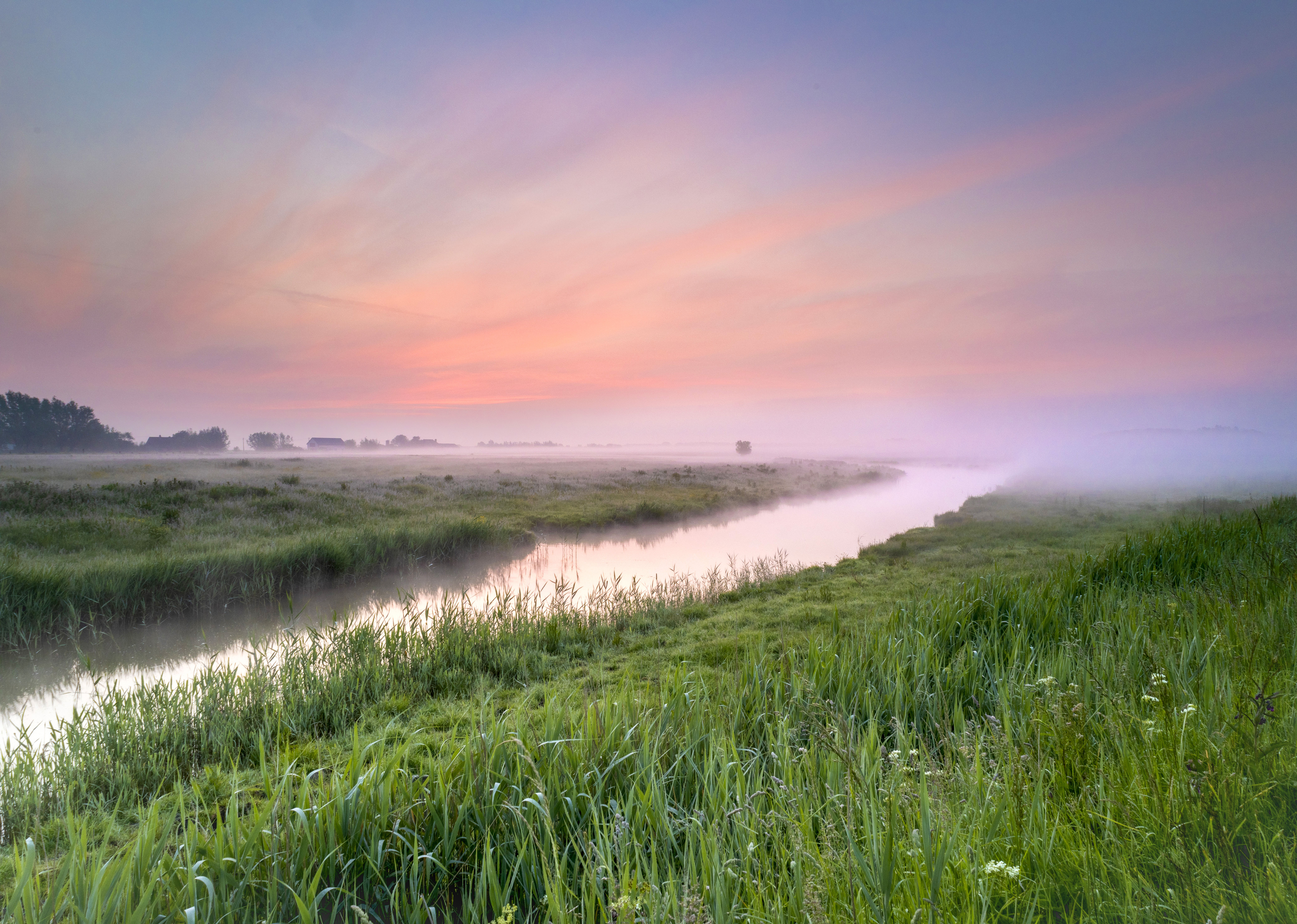 earlybird-knokke-heist