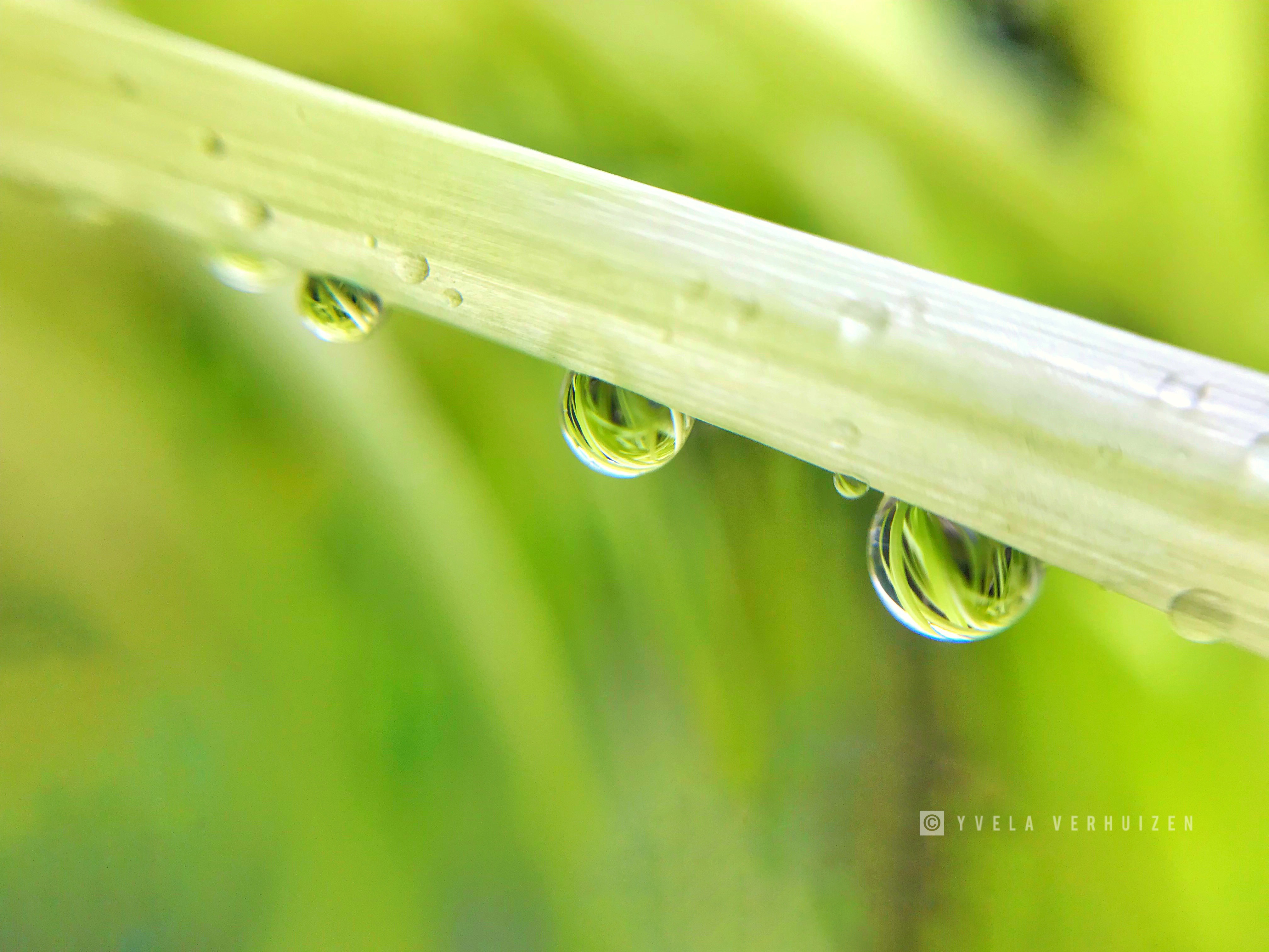 waterdrops-1