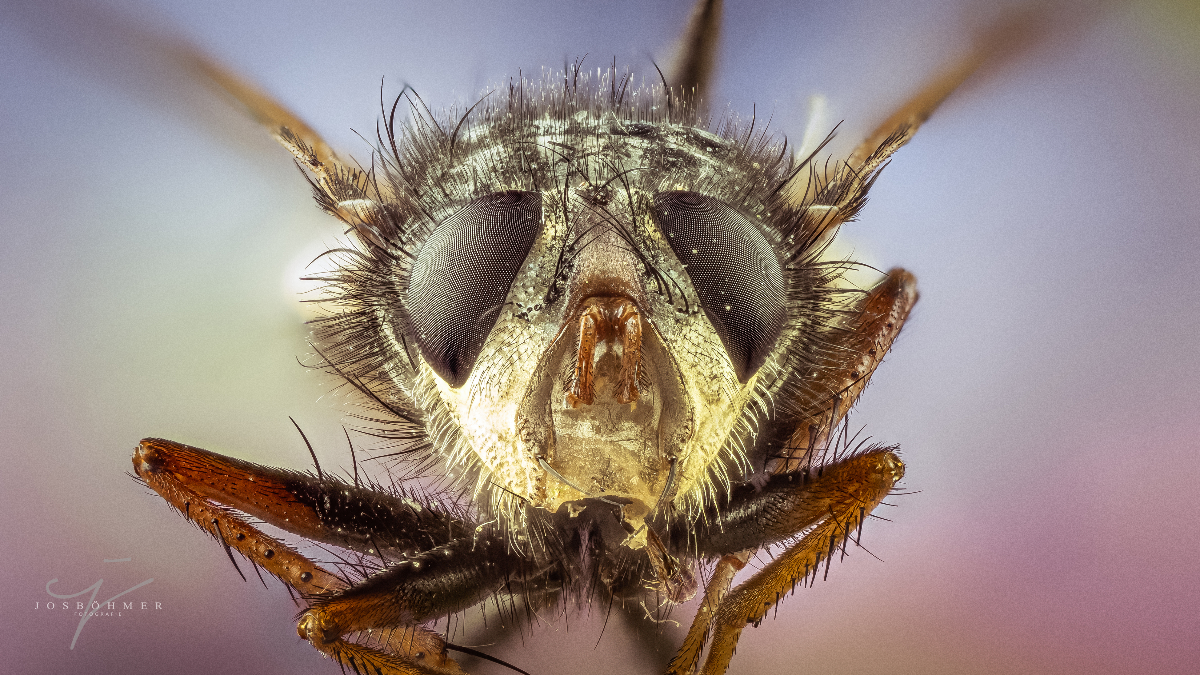 eindelijk-een-nieuwe-ray-ban