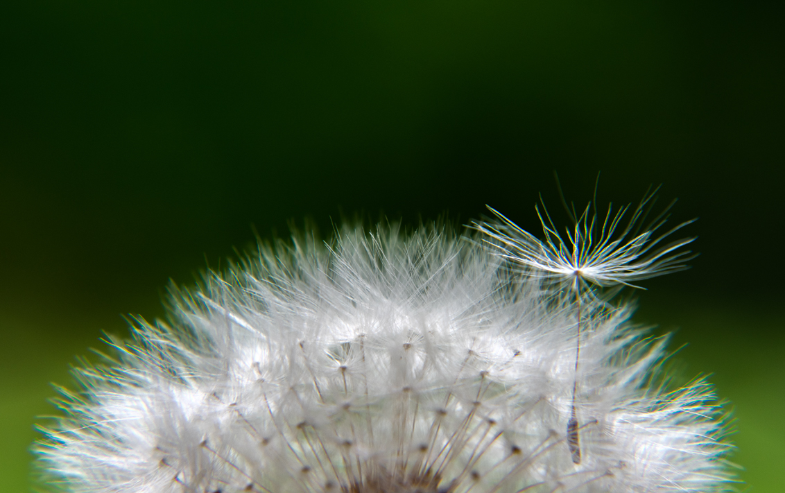 just-before-lift-off