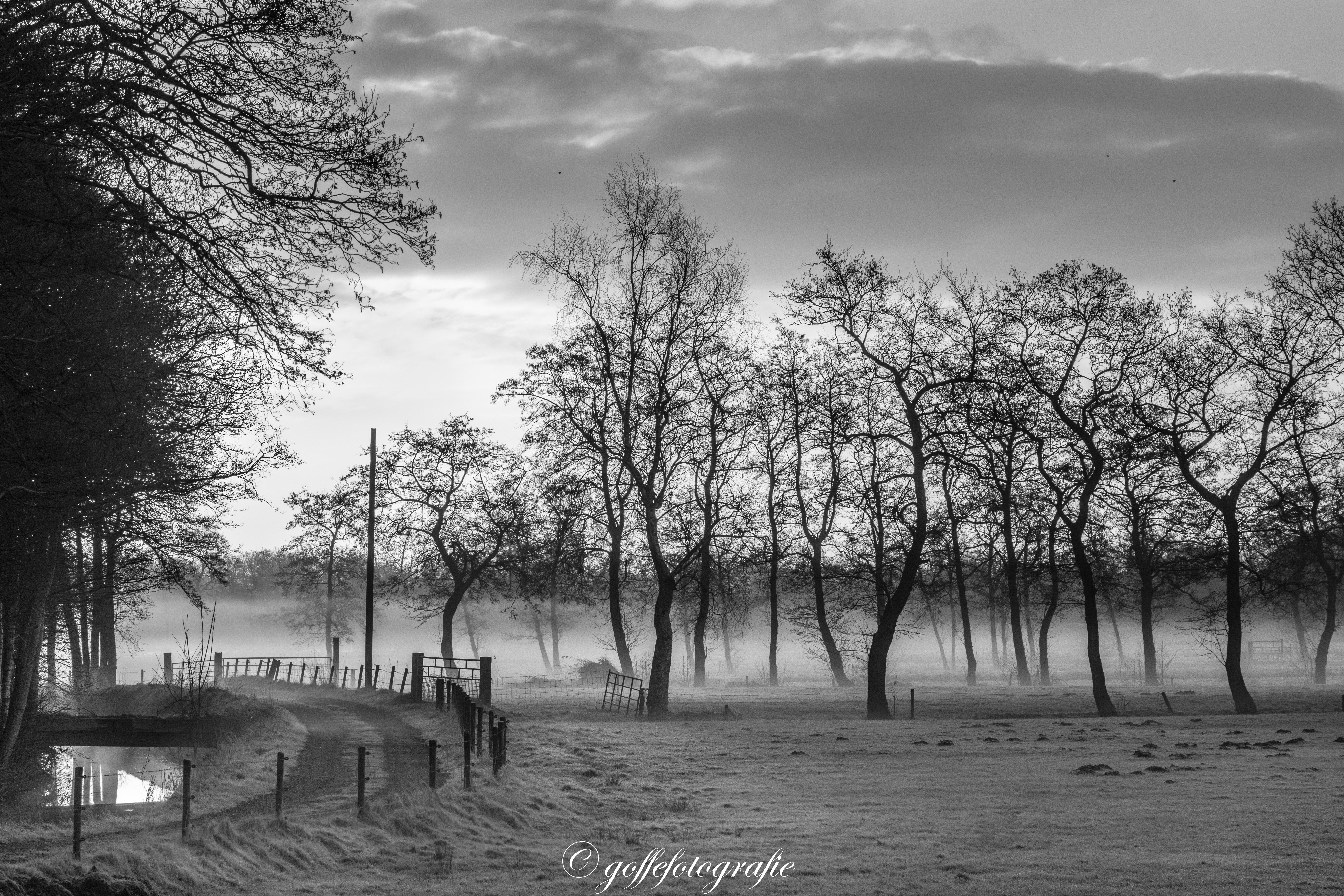 zonsopkomst-in-nationaal-park-de-alde-feanen