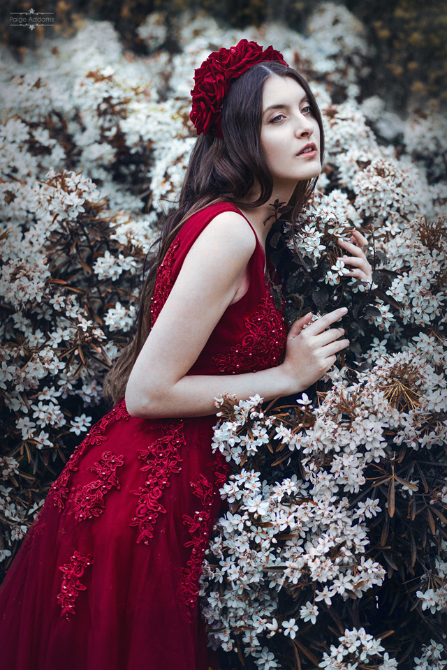 bloom-iii
