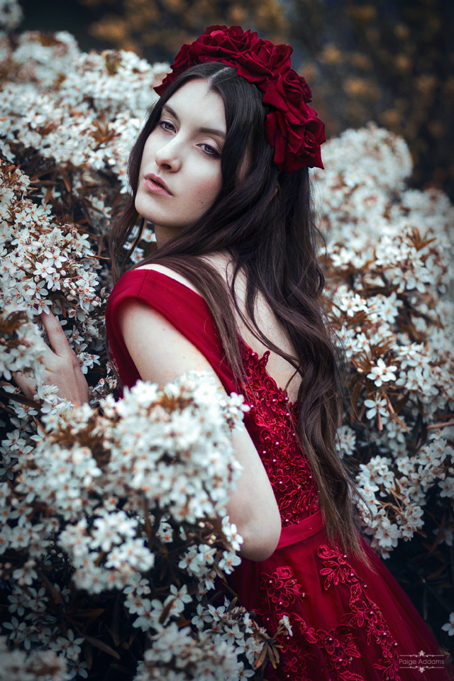 bloom-i