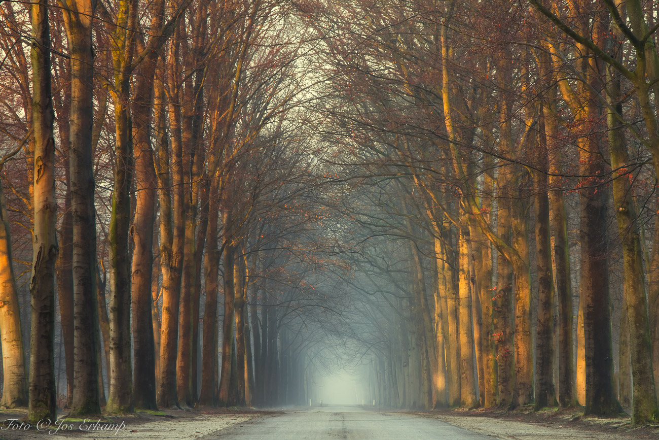 early-in-the-morning-when-the-sun-comes