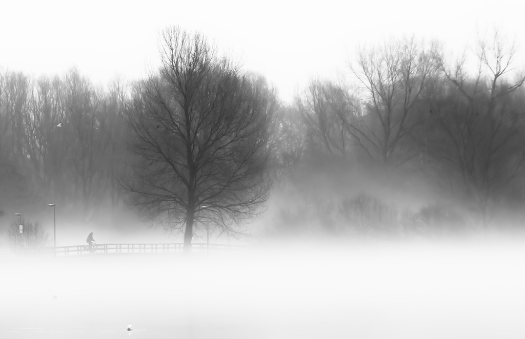 fietser-in-de-mist