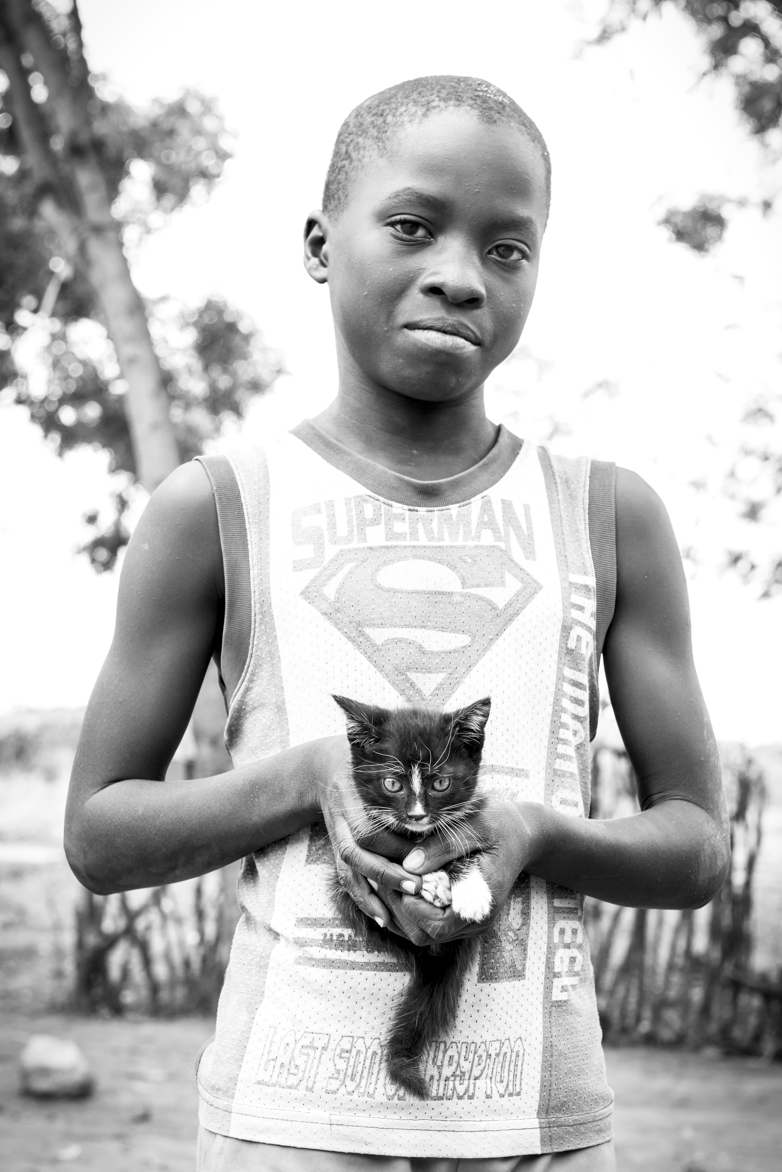 superman-met-kitten