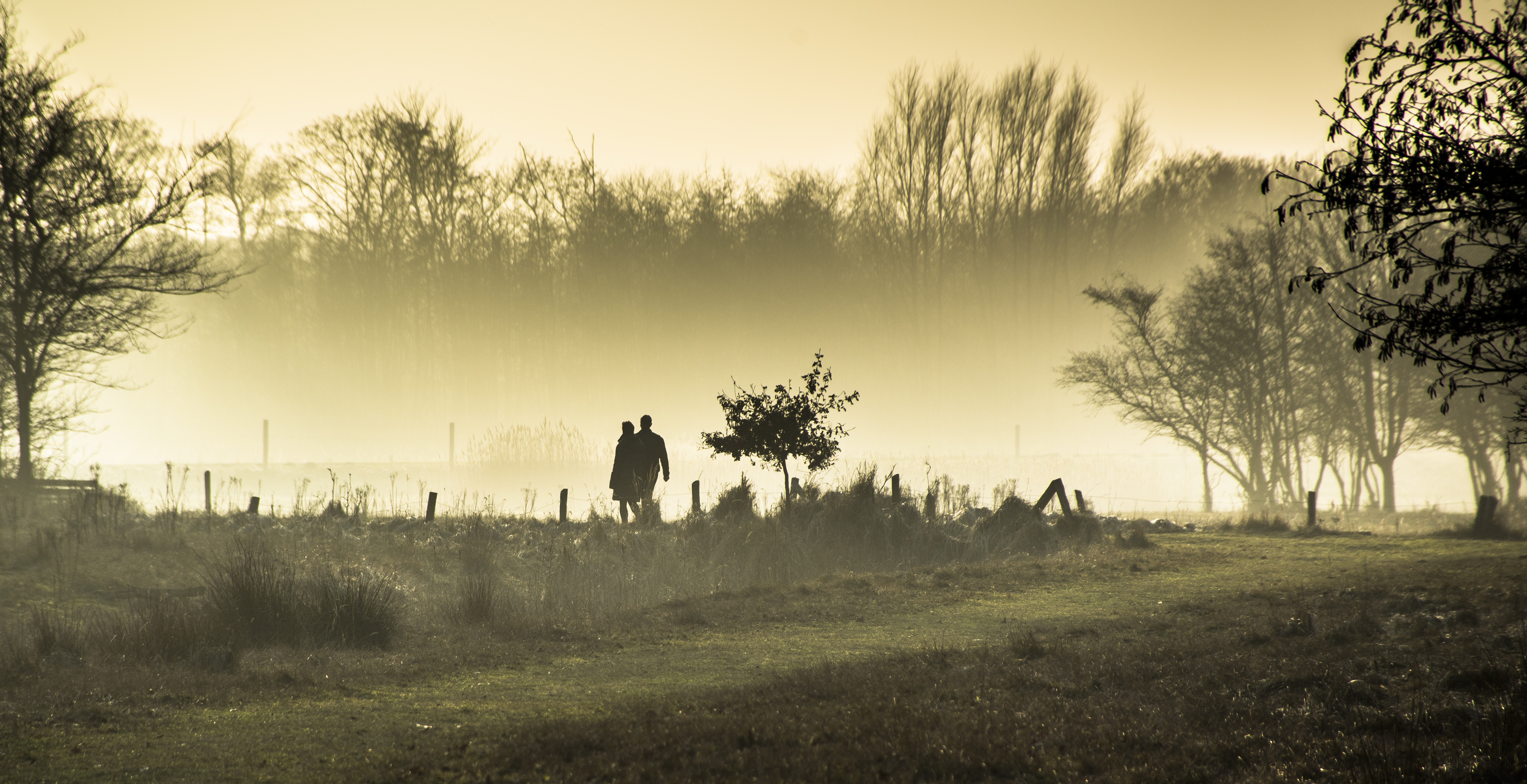 in-de-nevel-verdwenen