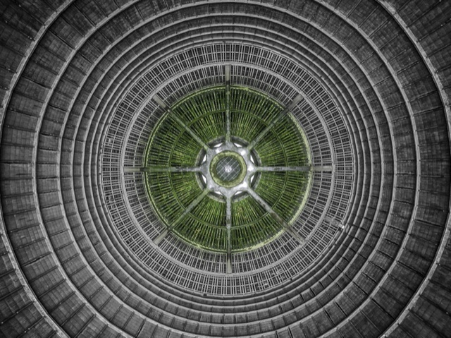hypnotising-human-structure