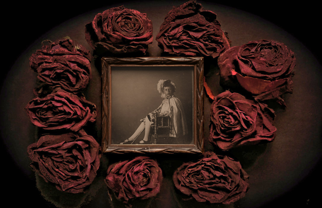 hommage-%C3%A1-nicolaas