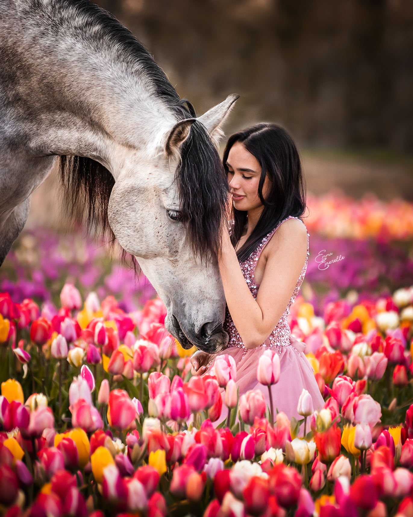 tulip-season