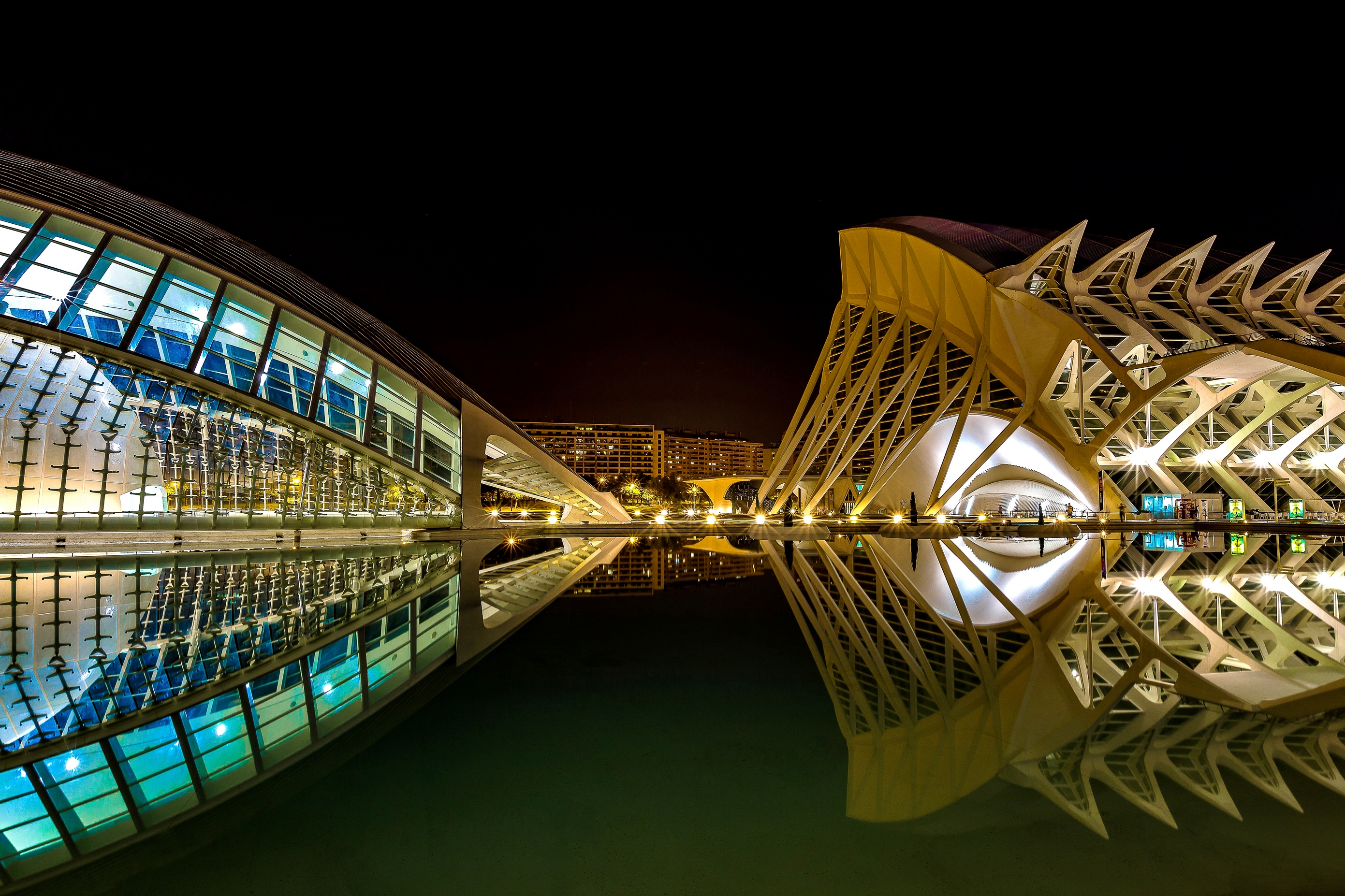 architect-calatrava-ciutat-de-les-arts-i-les-ci%C3%A8ncies