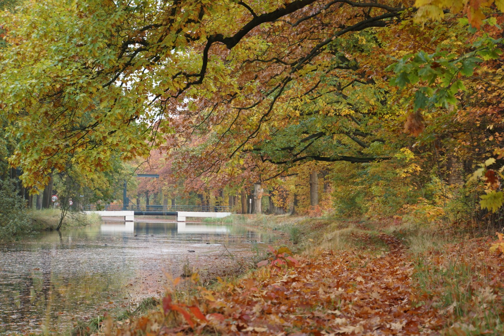 herfst-bij-het-kanaal-0