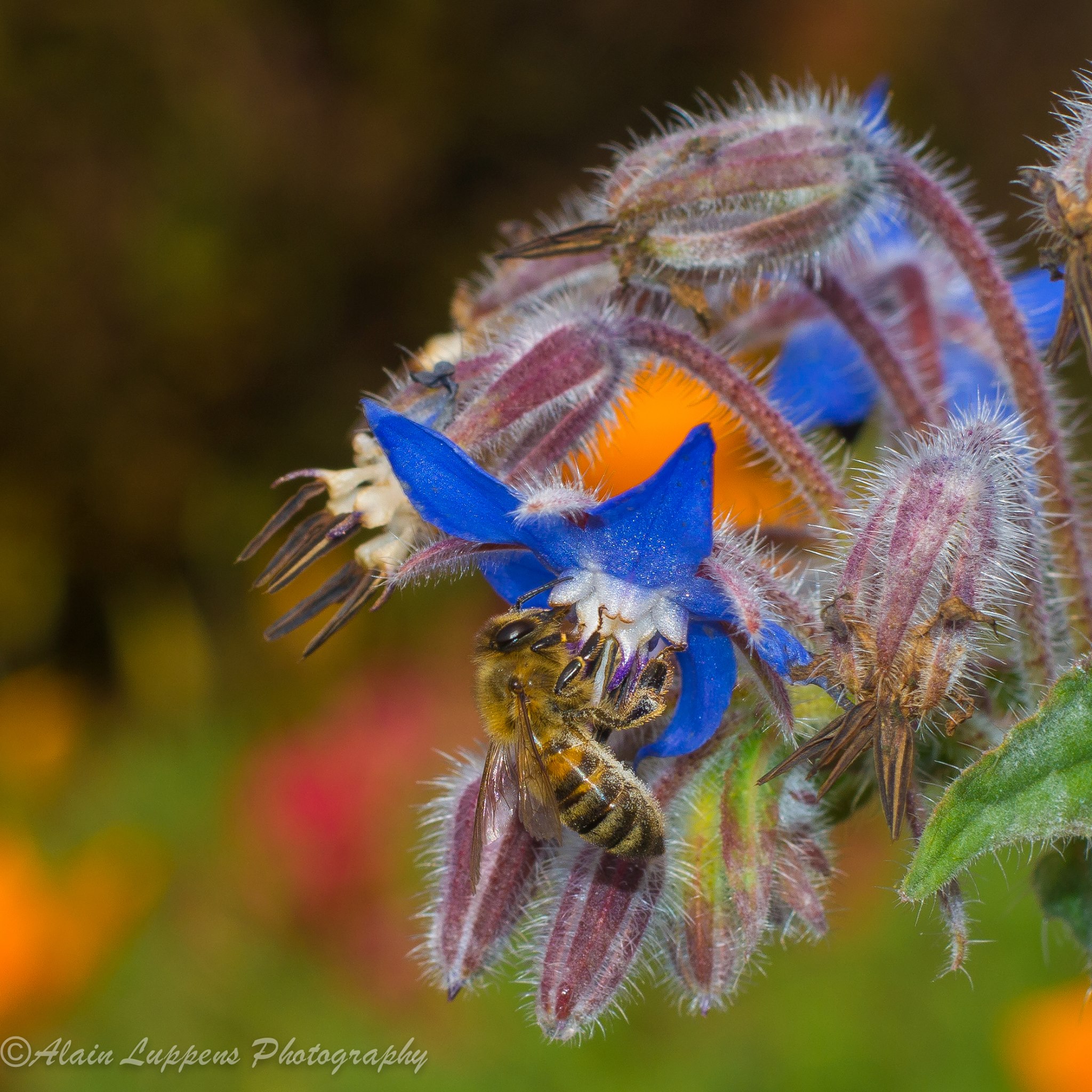 still-busy-in-october