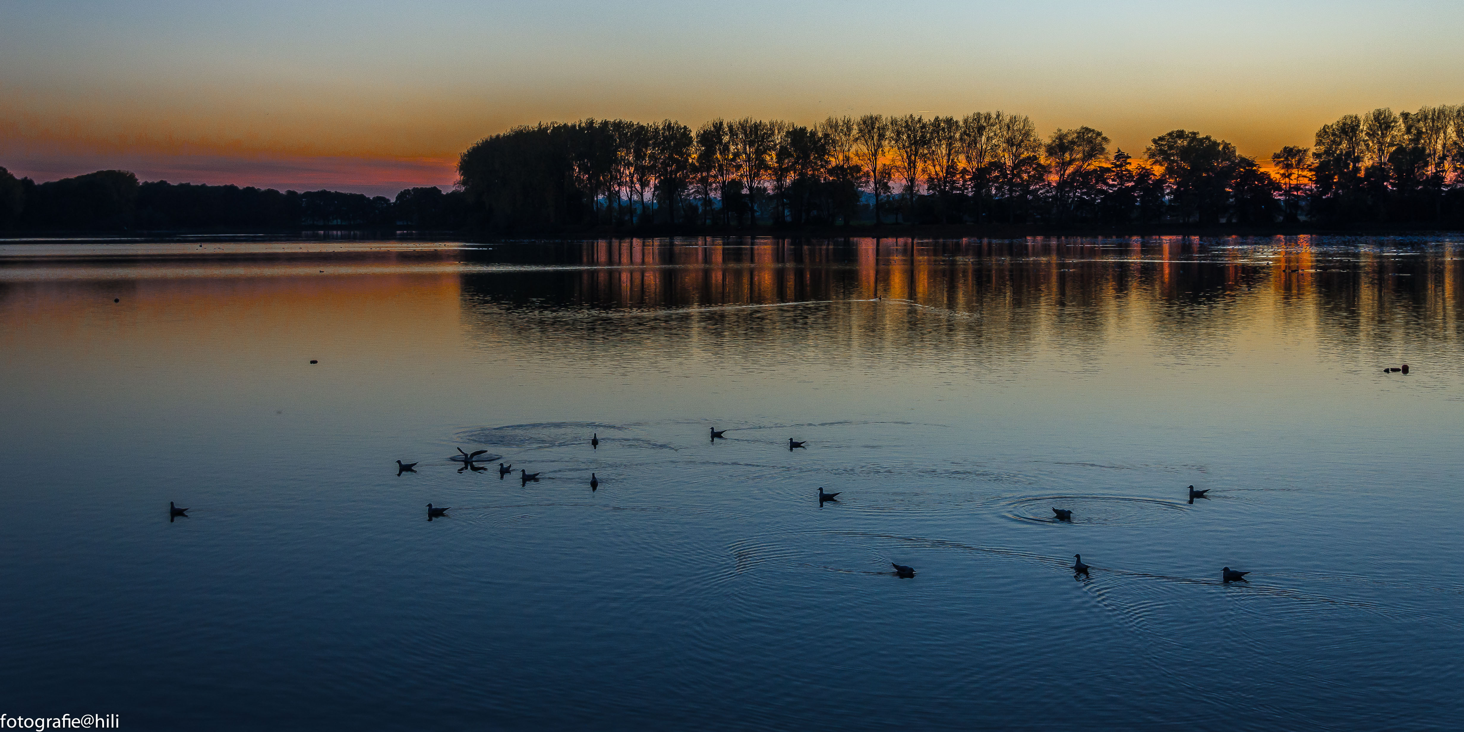 herfstavond-dikkebusvijver