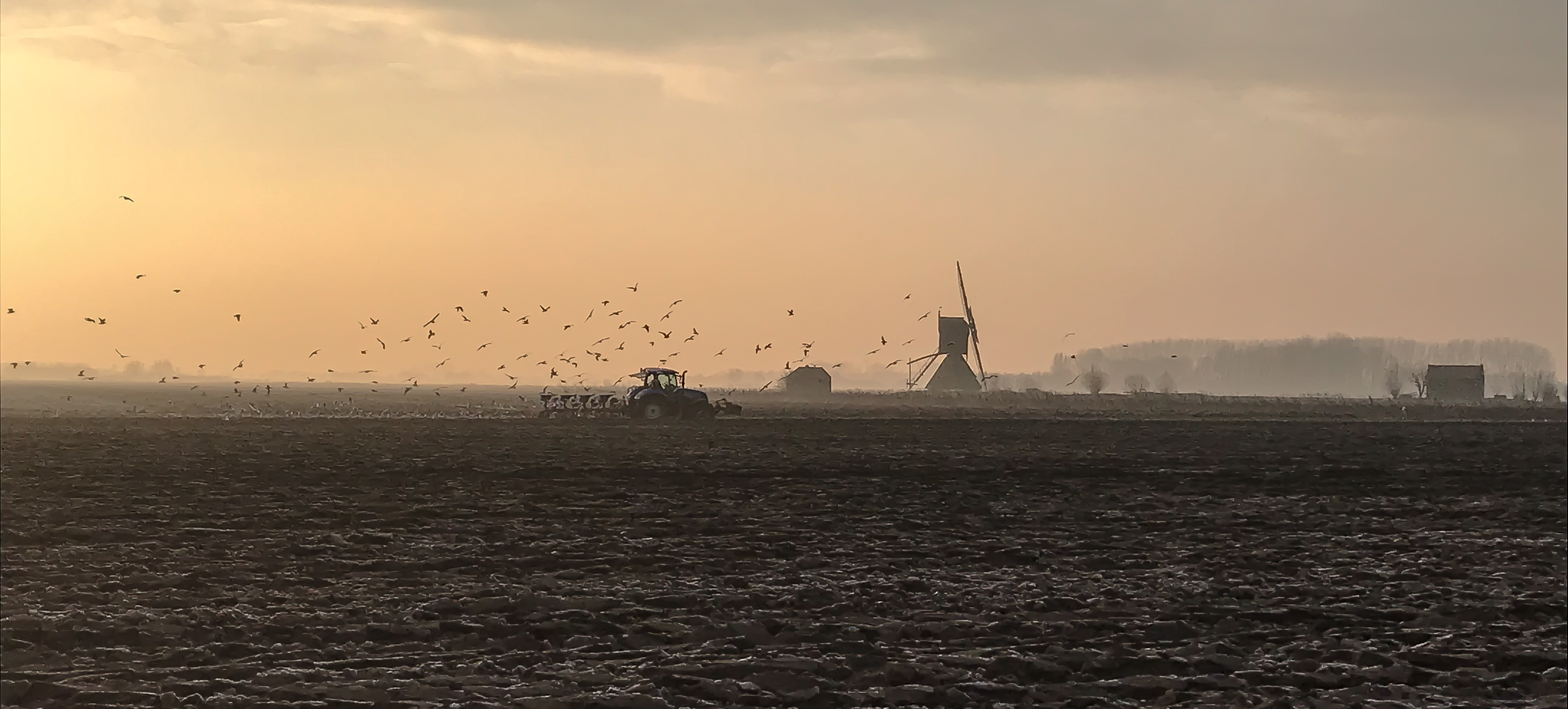zonsopkomst-in-de-polder-1