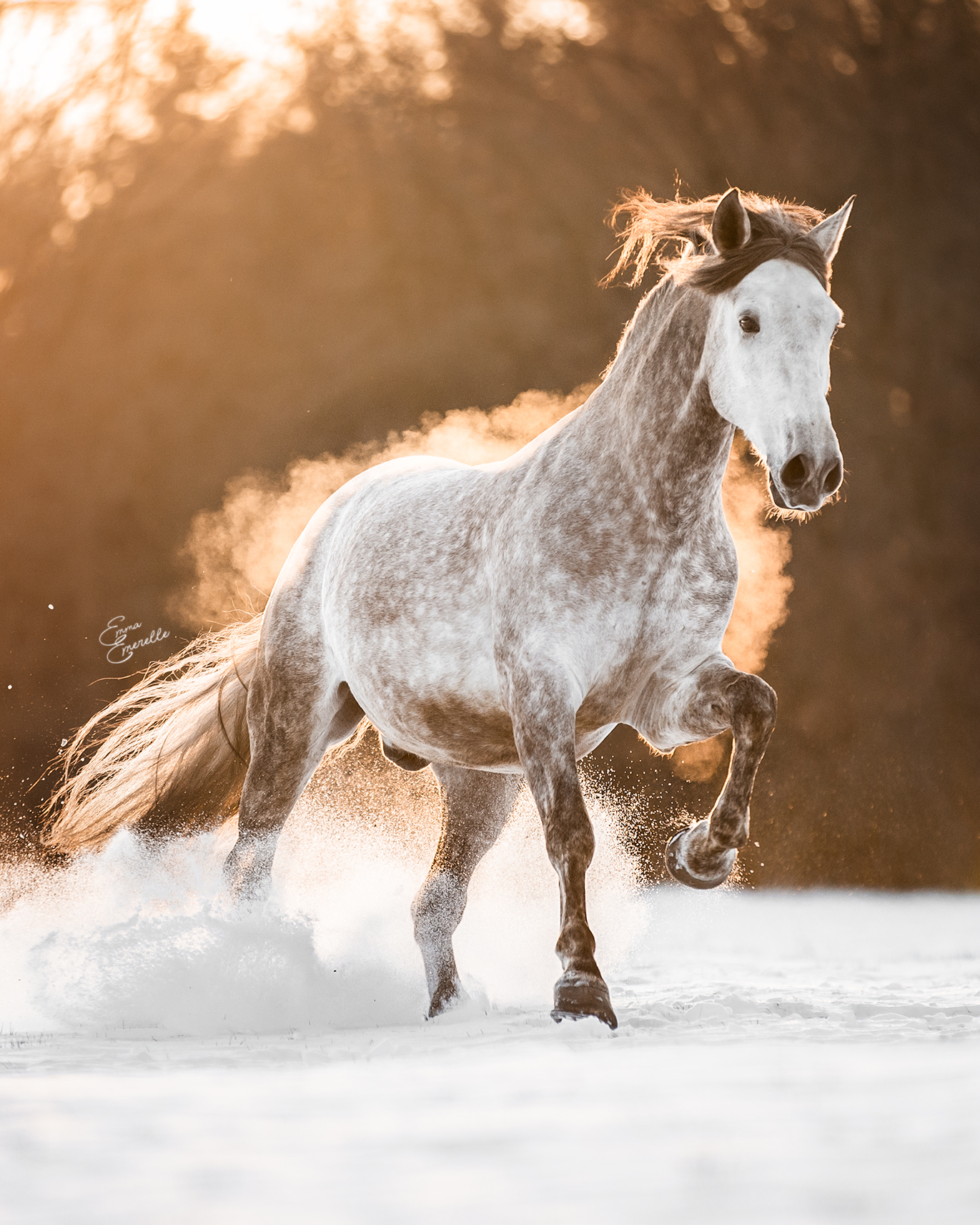hot-and-cold