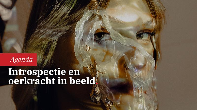 the-belly-of-the-beast-anca-axinte