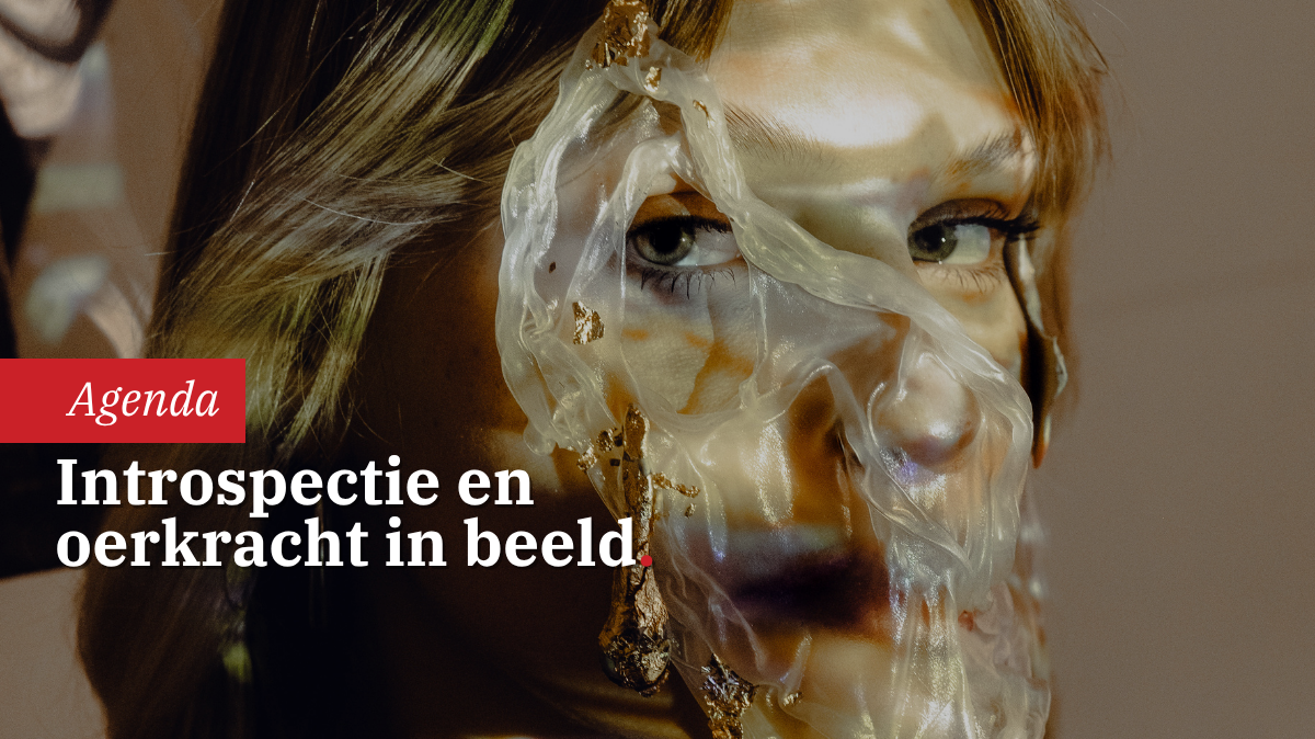 the-belly-of-the-beast-anca-axinte