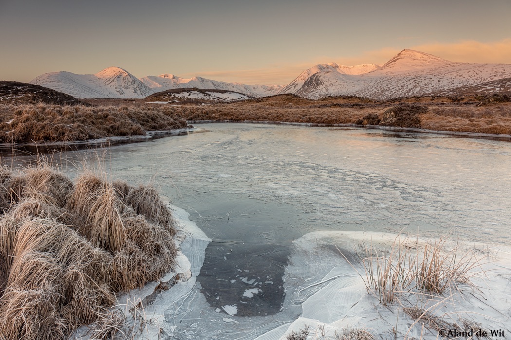 frozen-6