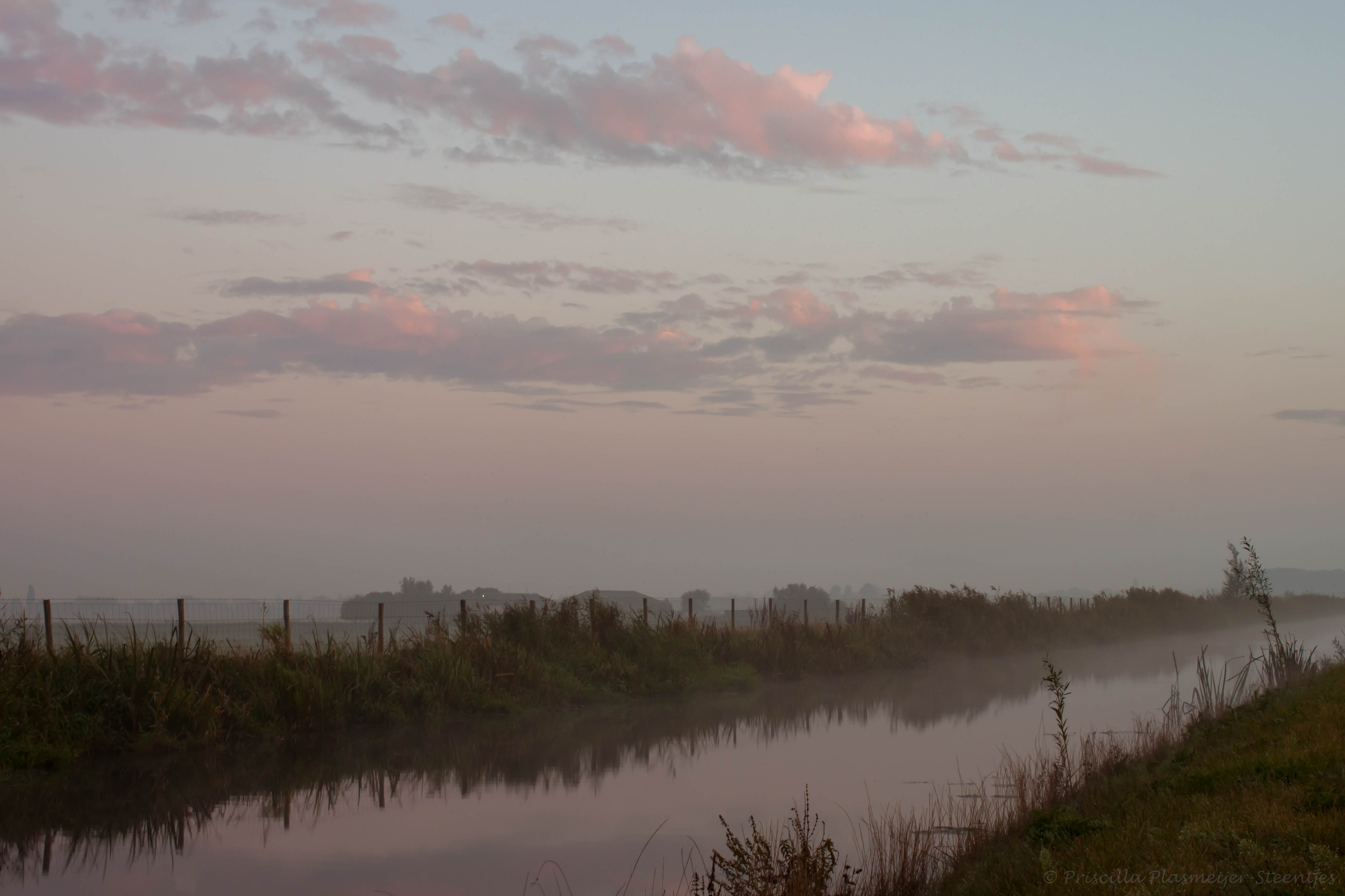 early-in-the-morning-7